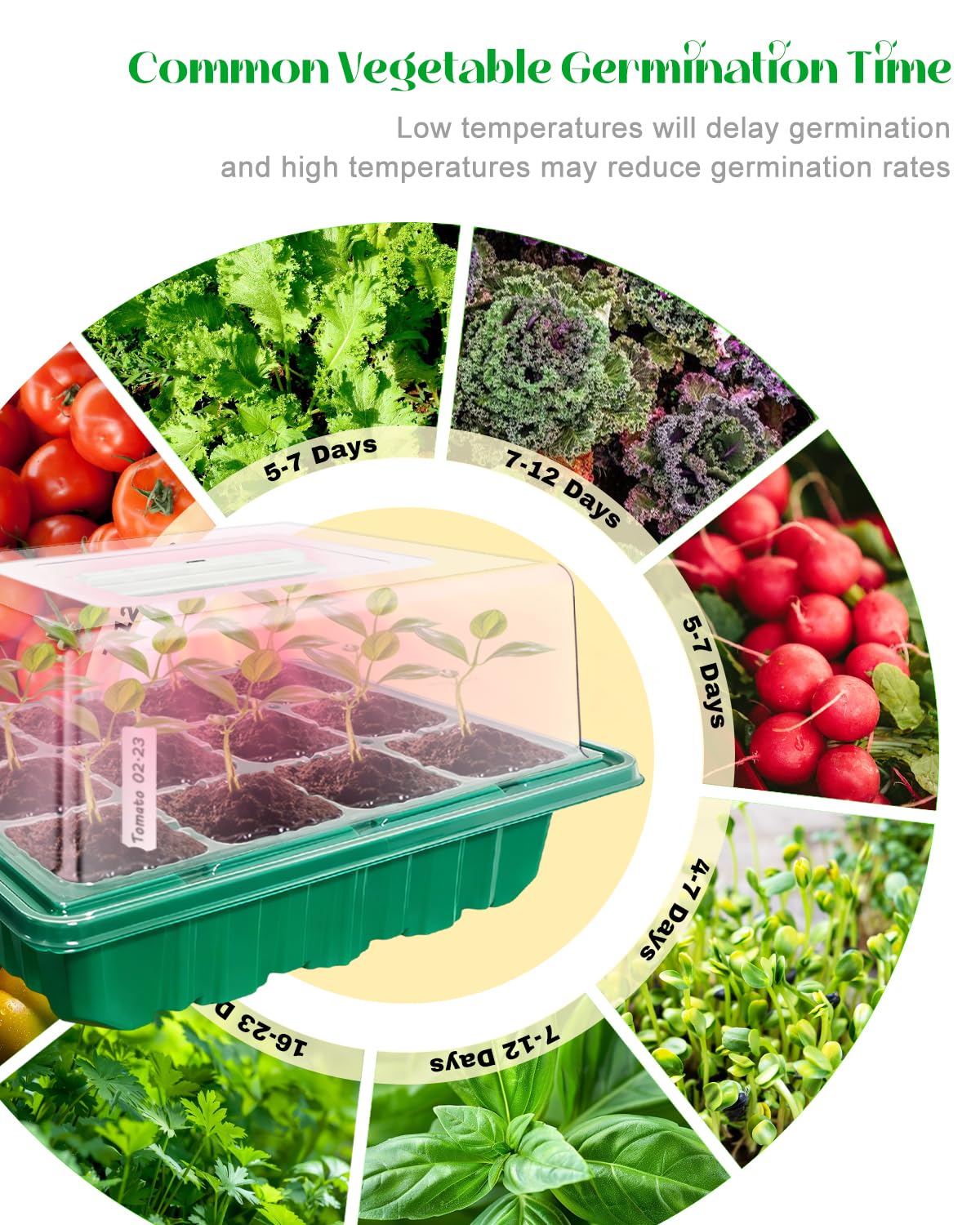Seed Starter Tray with Grow Light (2x 24-LED), 2 Pack Seed Starter Kit with Humidity Domes and Timing Controller, Adjustable Brightness, Reusable Seedling Starter Tray, Thicken Seed Starting Trays