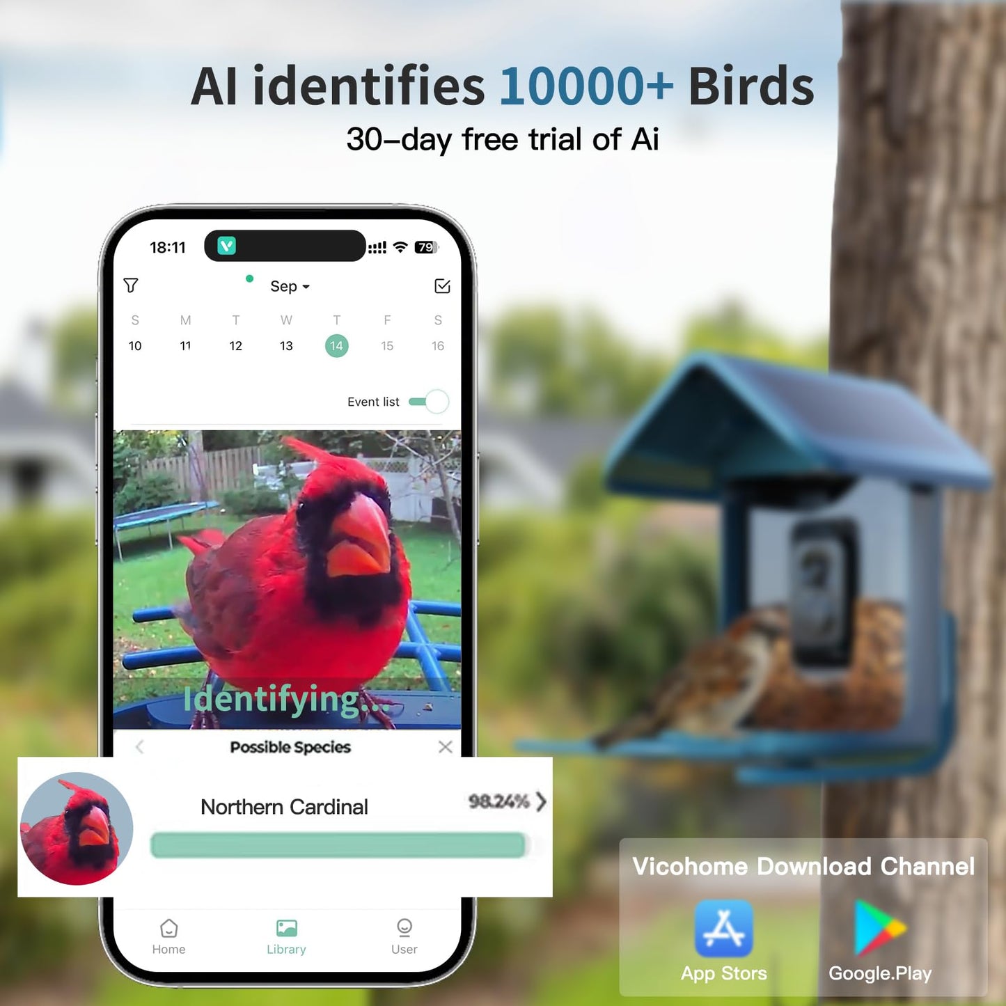 Bird Feeder with Camera Solar Powered : Smart Camera Bird Feeder 2K Live Feed Cam for Outdoor Backyard - Ai Identify Auto Capture Videos Pictures, Gifts for Birdlover Mom Dad, 2.4GHz WiFi