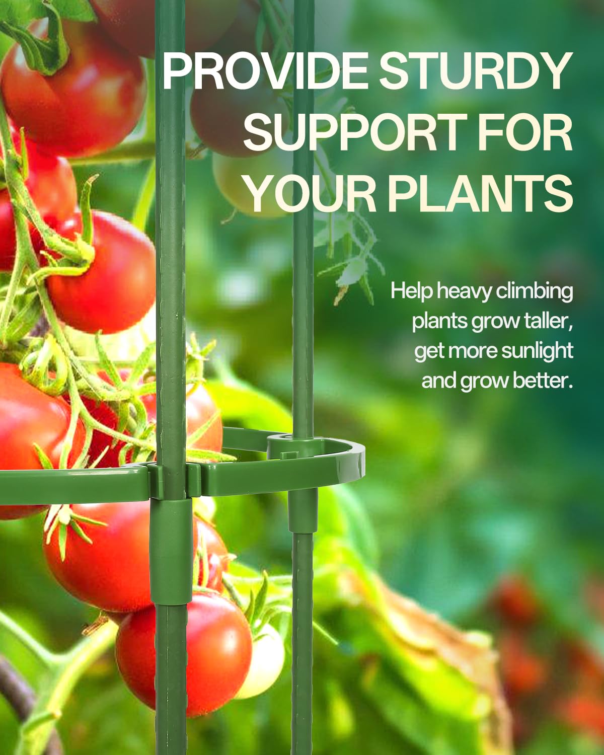 Breeze Touch Tomato Support Cages 2 Pack, Adjustable Tomato Trellis Up to 59 Inch for Garden & Pots, Small Plant Cages, Plant Support for Climbing Vegetables, Flowers, Beans, Cucumber, Peony