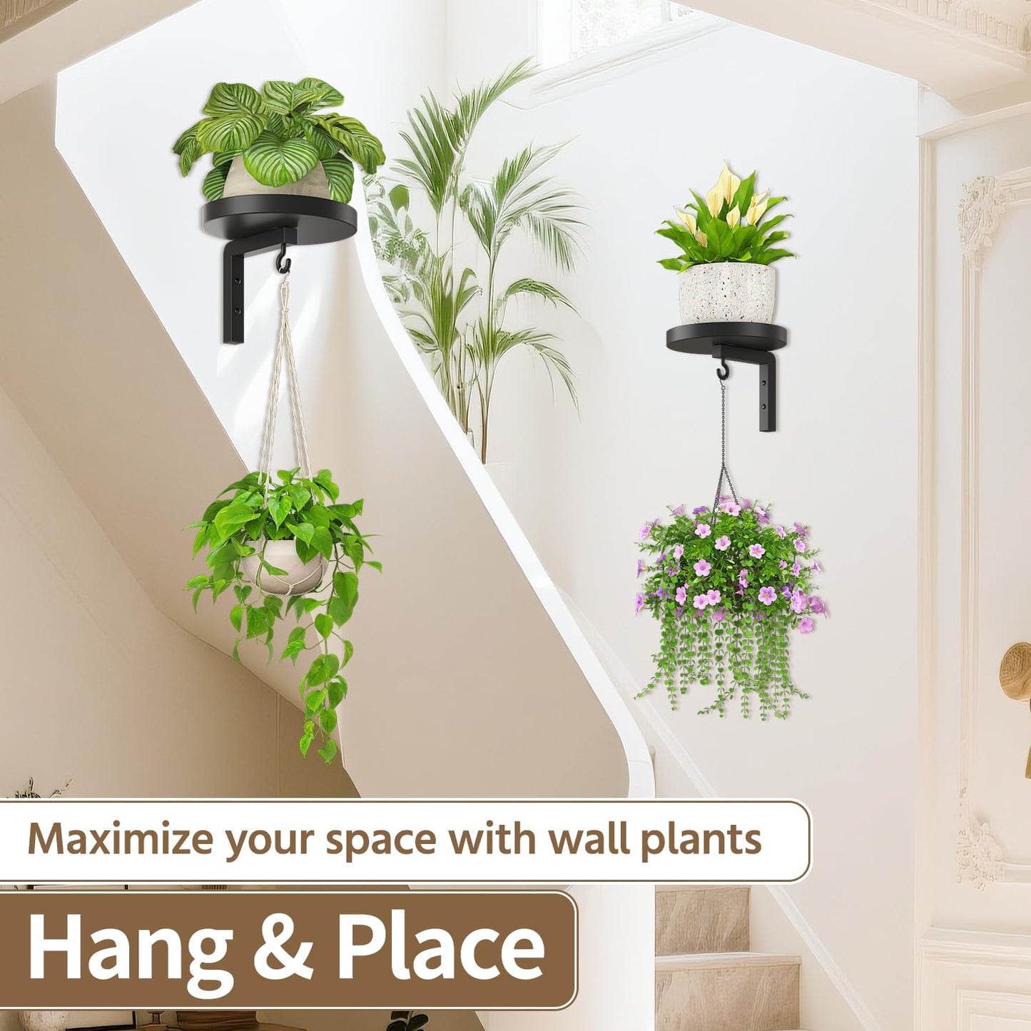 LASZOLA Plant Hangers Shelves Wall Mounted Indoor, Metal Window Plant Holders, 2Pcs Modern Floating Flower Display Stand with 2 Hooks for Outdoor Kitchen Bathroom Decor, Black