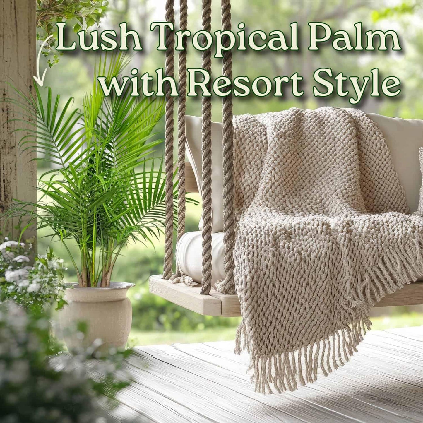 Majesty Palm - Live Palm Tree Plant - Tropical Plants of Florida - Overall Height 34" to 38" (Plant in Growers Pot)