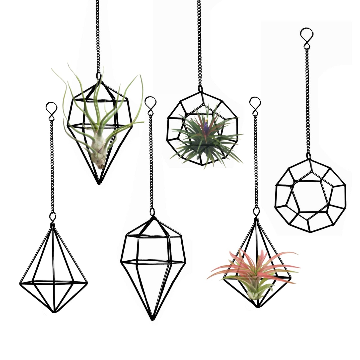 libproqia Iron Air Plant Holder, 6PCS Geometric Tillandsia Stand - Wall Mounted Hanging Planter for Home Office Decor, Black Metal Himmeli Craft for Air Ferns, Small Airplants Display