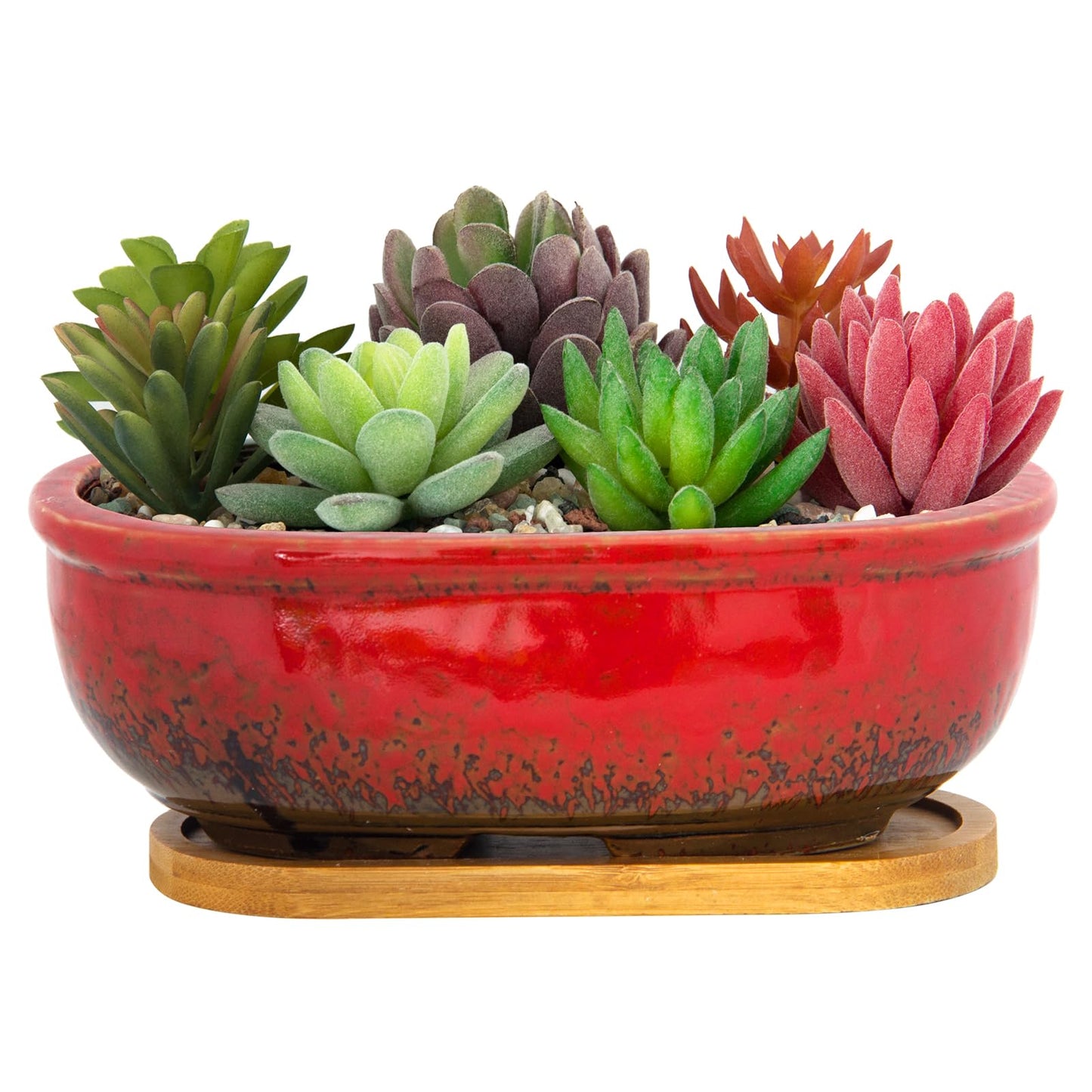 ARTKETTY Succulent Pots - Large Succulent Planters with Drainage Tray, 7.9'' Ceramic Pots for Indoor Cactus Plants, Oval Bonsai Flower Plant Container Bowl Decorative Home Desk Windowsill
