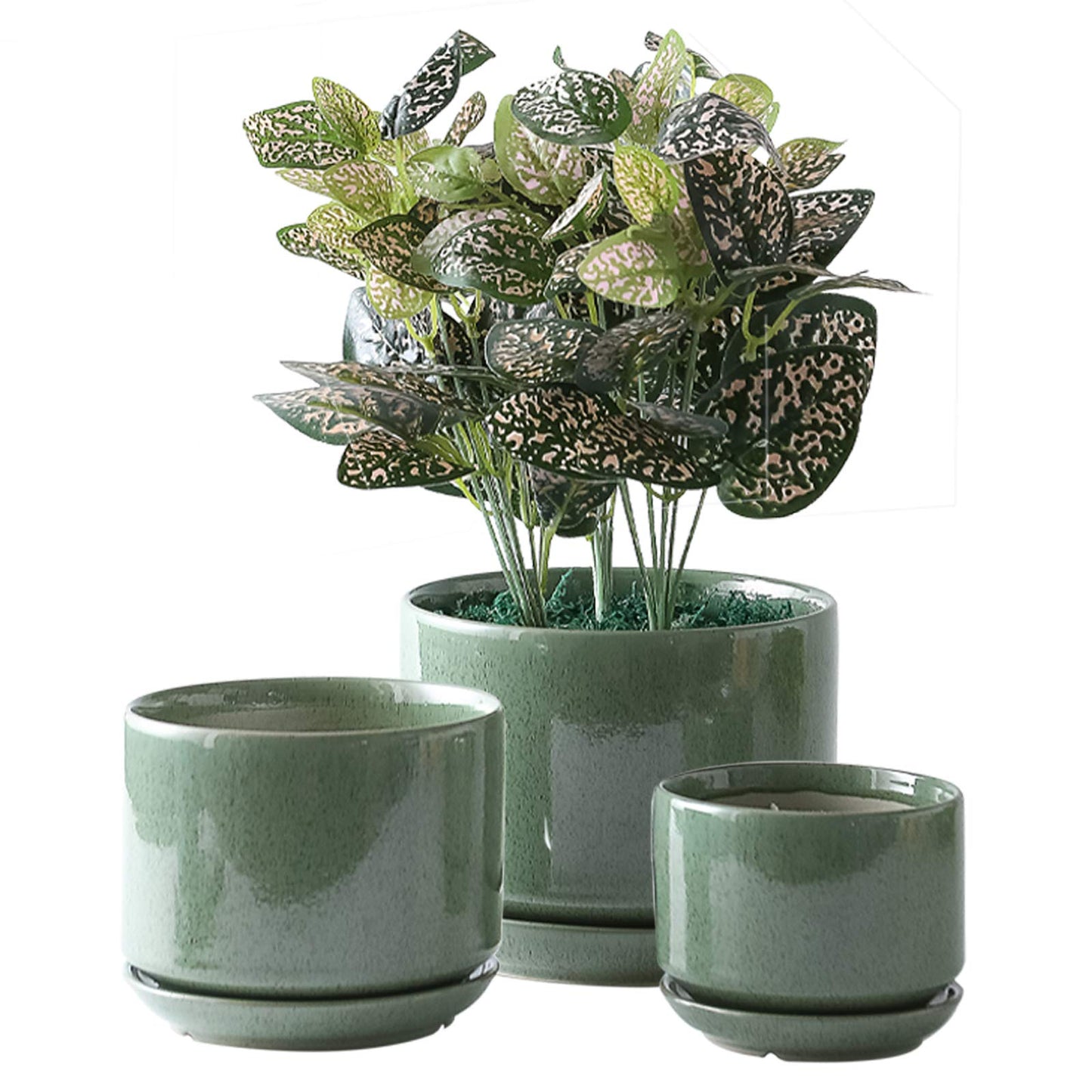 Yishang Succulent Plant Pots,6.7+5.3+4.1 in Glazed Ceramic Planters with Connected Saucers, Round Modern Ceramic Flower pots - Small to Large Sized Plant pots for All House Plants
