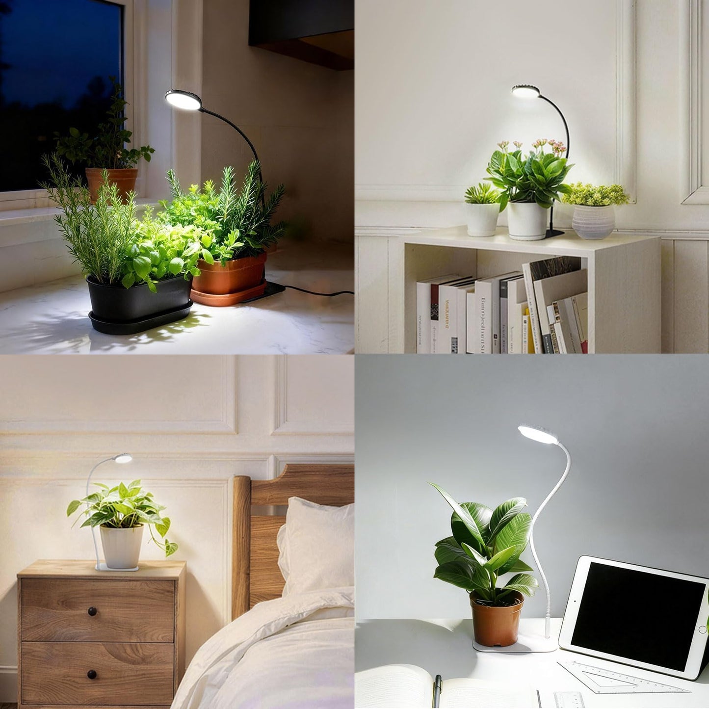 SGLEDs Desktop Indoor Plant Grow Light, 12W Full Spectrum,Plant lamp with 4 Dimmable & 3 Timer Modes, 360° Gooseneck Plant Lights for Office Desk Small Grow Lights for Indoor Plants(White)