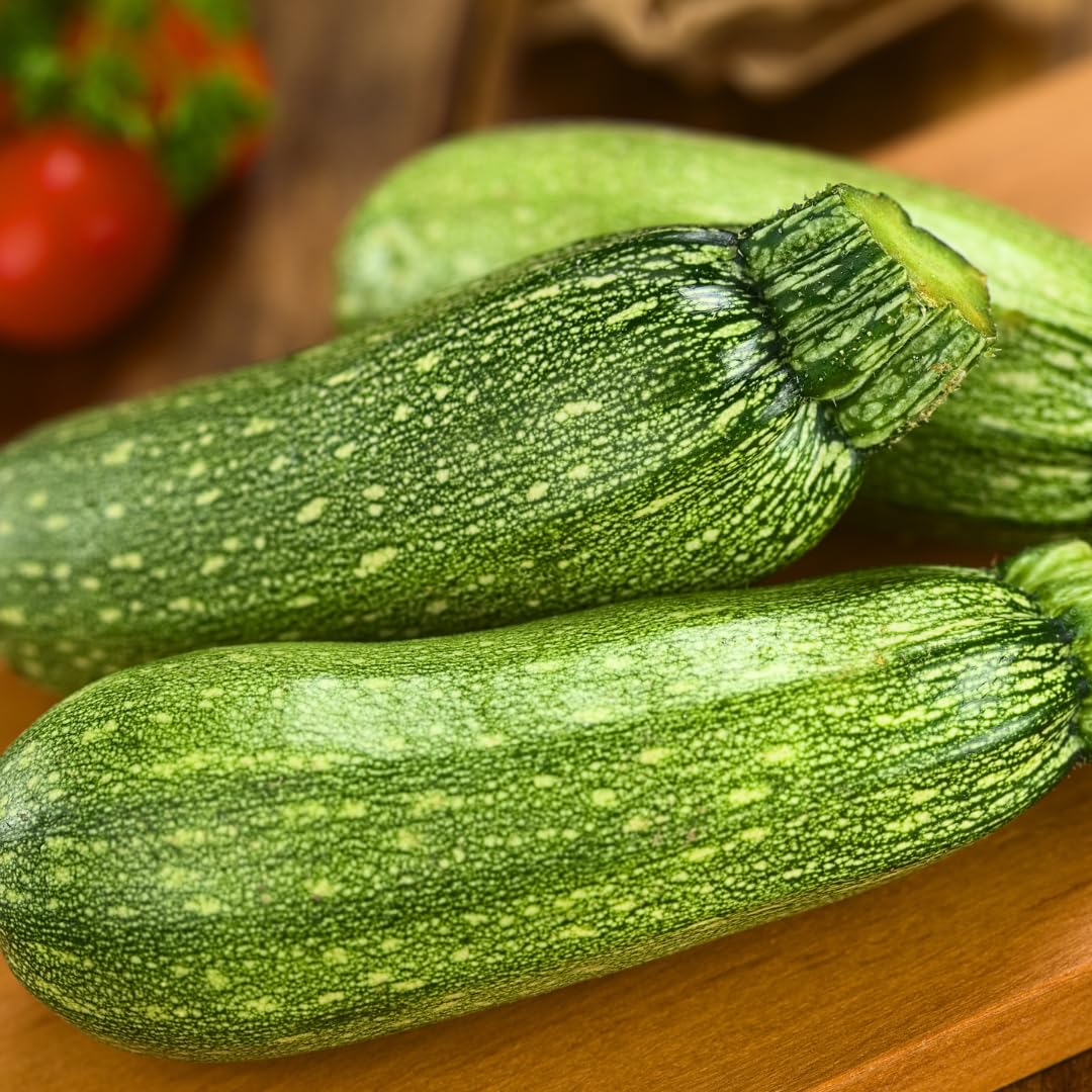 2 Green Squash Zucchini Plant Live, Squash Zucchini Plant, Vegetable Seedling, 3-5 Inches Tall for Outdoor Growing