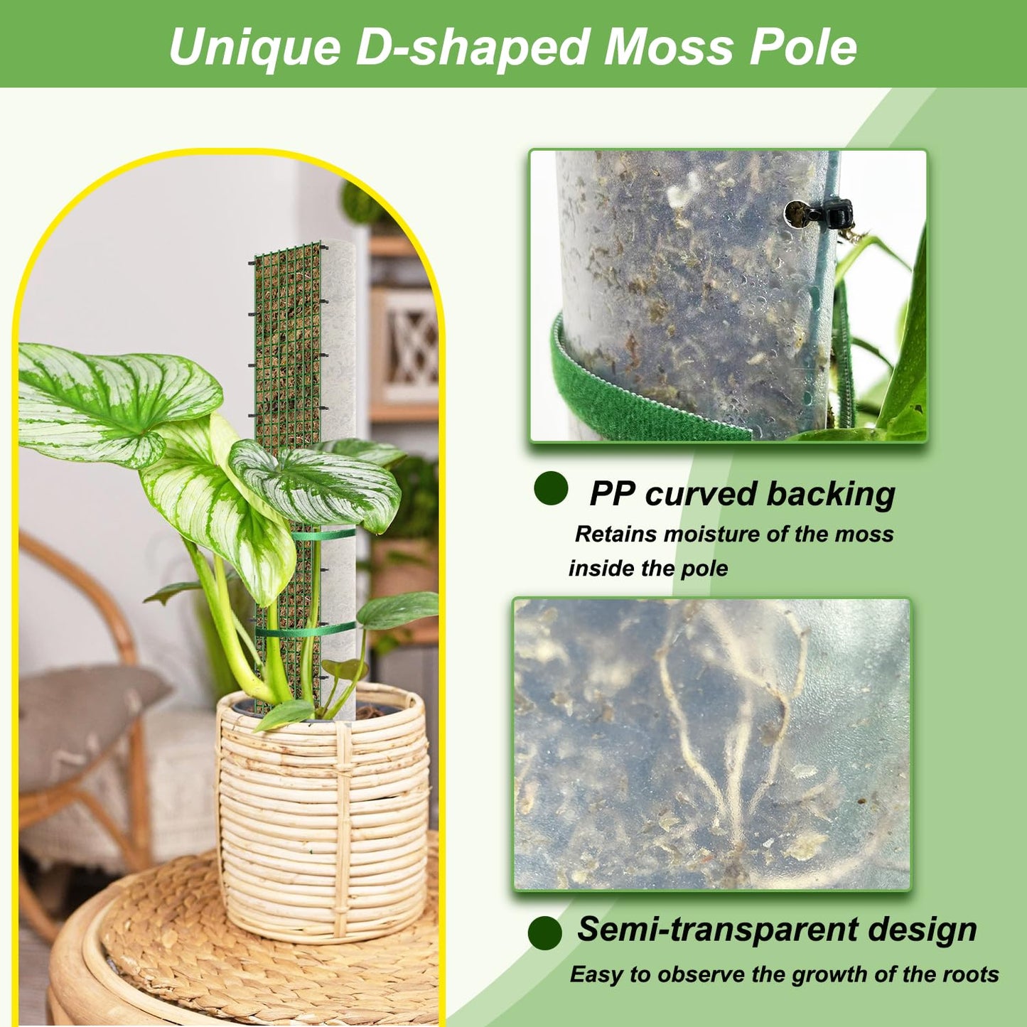 HOLANHING 60"/40"/24" Metal Moss Pole, D Shape Sphagnum Moss Pole, Moss Poles for Climbing Plants, Monstera, Indoor Climbing Plants (2 Each of 60" 40" 24")