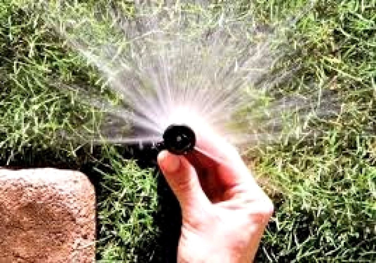 Rain Bird 1804VAN 1800 Series Professional 4 Inch Pop Up Sprinkler Head, 5 Pack - Lawn Sprinkler with Adjustable 0-360 Degree Arc Nozzle Pattern, Up to 15 Ft Spray Distance, 1/2 in NPT Threaded Inlet