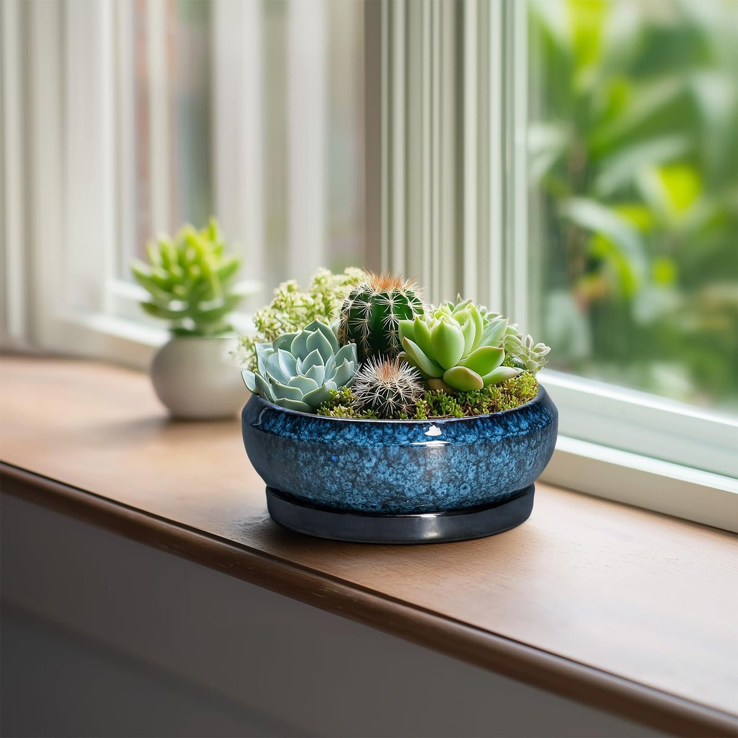EPFamily Succulent Pots - 6 Inch Ceramic Bonsai Pots with Drainage Hole and Saucer, Shallow Planter for Indoor Outdoor, Round Succulent Planter, Cactus Pot, Office Decor, Gifts for Plant Lovers, Blue