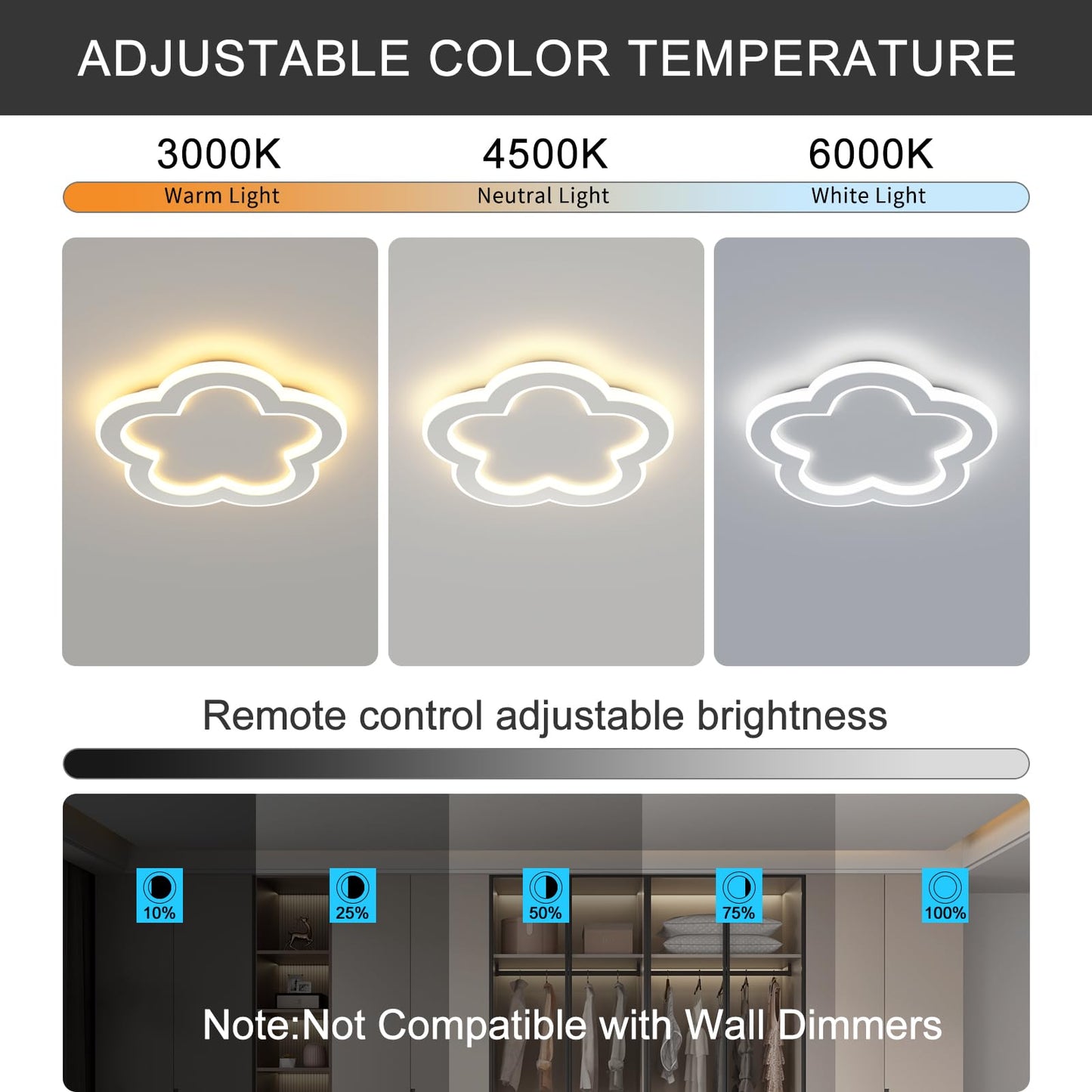 Linovix Modern LED Ceiling Light 9.8inch Small Ceiling Light Fixture 21w with Remote Control(3000k-6000k) Close to Ceiling Lights for Hallway Entryway Corridors Kitchen Laundry Room (White)