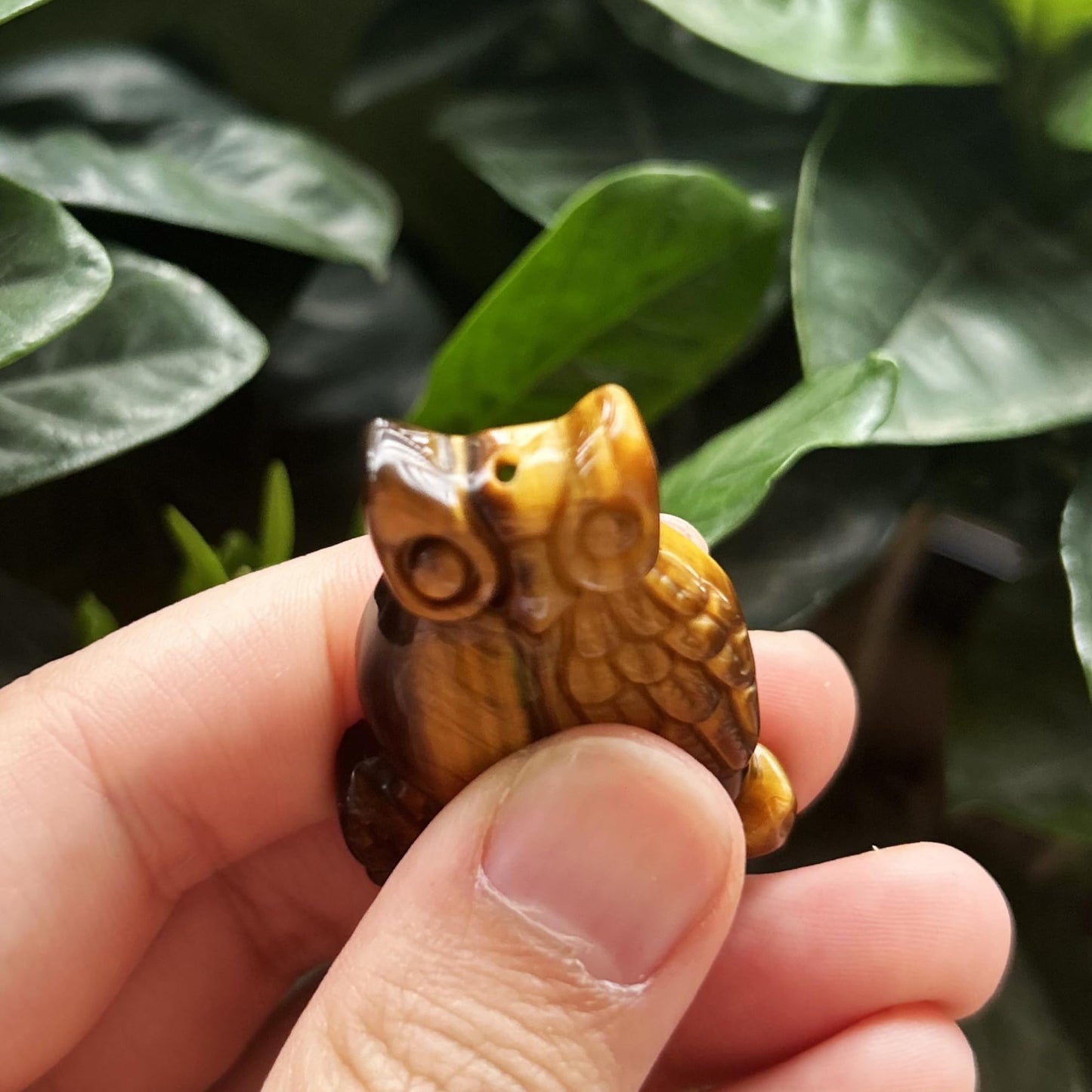 Bacatgem Natural Tiger's Eye Owl Figurines Crystals and Healing Stones,Haped DIY Pendant