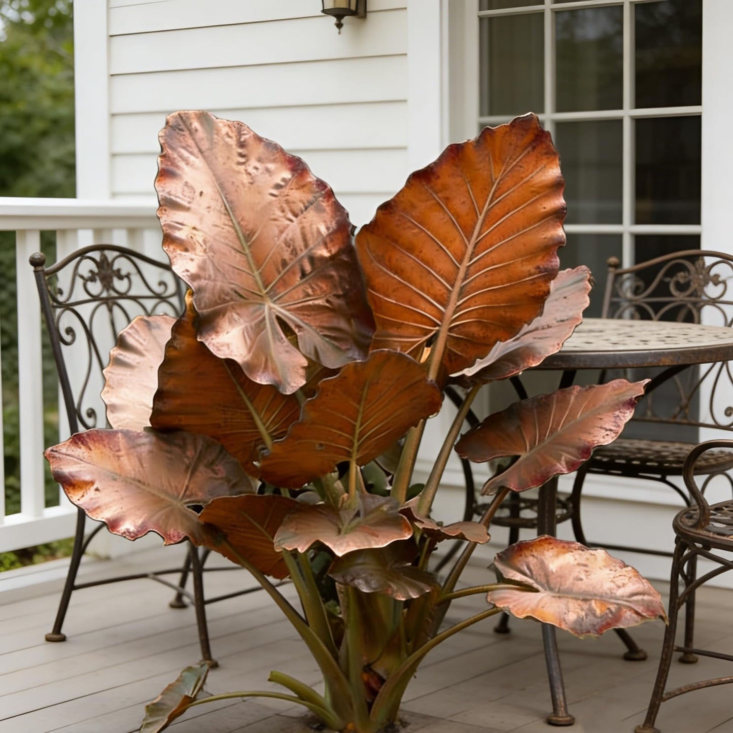 Hardy Elephant Ear Plant Bulbs | Tropical Colocasia for Home Garden & Outdoor Patio Landscaping (2)