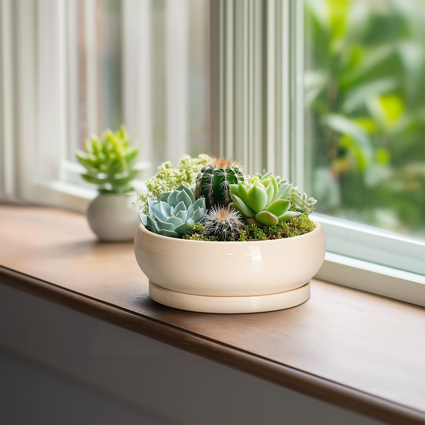 EPFamily Small Bonsai Pots - 6 Inch Ceramic Succulent Planters for Indoor Plant Outdoor, Shallow Planter with Drainage Hole and Saucer, Round Succulent Pots, Kitchen Decor, Gifts for Women Men, Beige