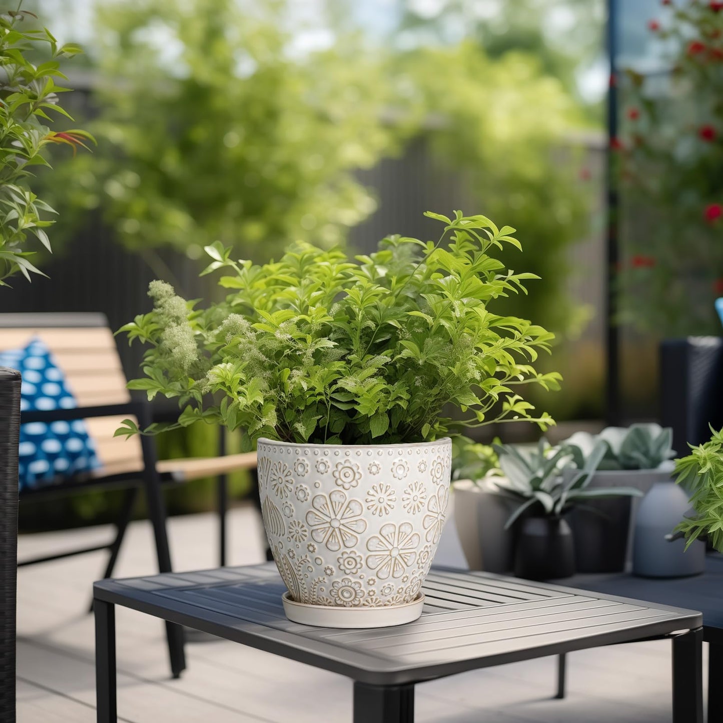 MPotTo 6.9 Inch Plant Pot with Drainage Hole and Saucer Ceramic Planter for Indoor Plant Flower Pot for Orchid Succulents Plants White