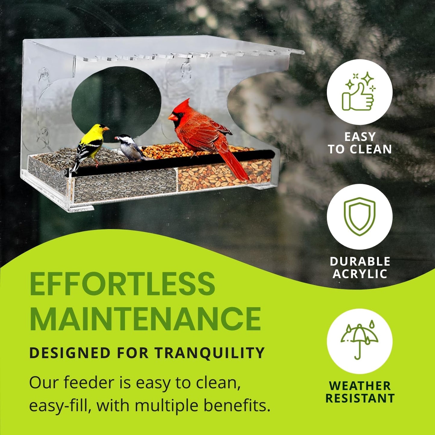 Nature Gear Acrylic Clear Window Bird Feeder with Strong Suction Cups, Removable Sliding Seed Tray, Weather-Resistant & Easy to Clean for Window Viewing, Extended