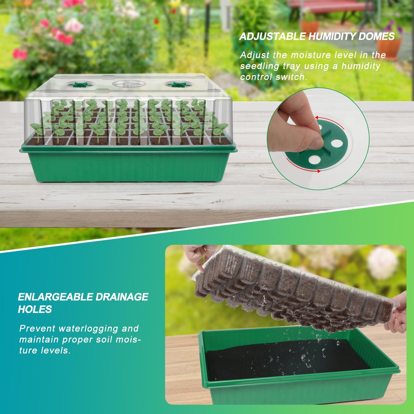GOOINMILL Self-Watering Seed Starter Tray with Timed Grow Light, 60 Cells Plant Starter Tray Seedling Starter Kit with Humidity Domes Base Indoor Mini Greenhouse Plant Germination Trays