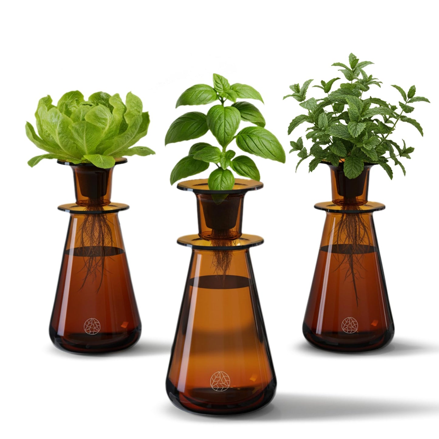 Lettuce Grow Counterstand Hydroponic Garden, Indoor Gardening System Hydroponics Growing System Kit, Herb Garden Planter Indoor Kit Countertop Vase Style No Grow Light