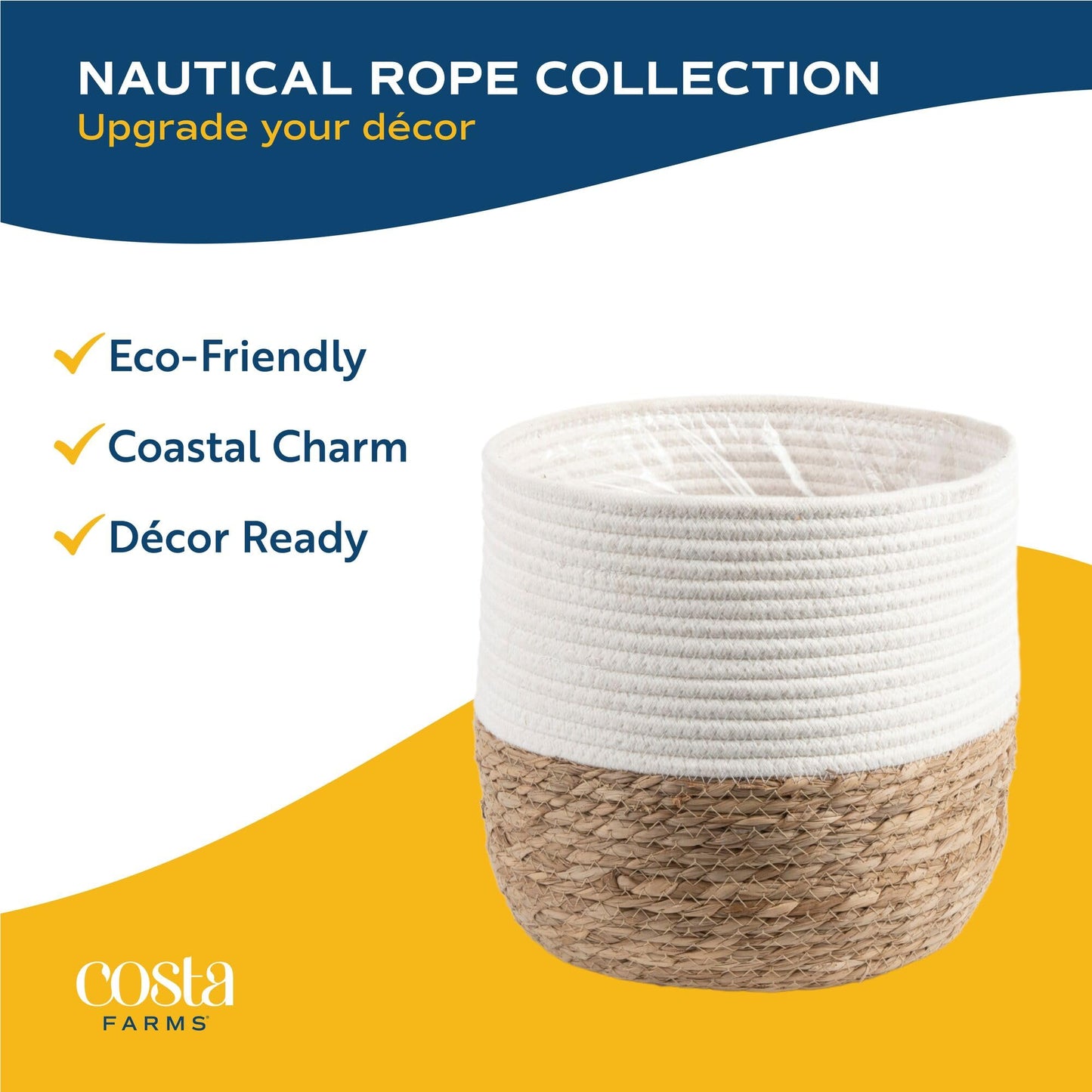 Costa Farms Live Plant, Thai Constellation Monstera House Plant, Decorative Plant Pot, Trending Tropicals Collection for Home and Room Decor, 2-3-Feet Tall