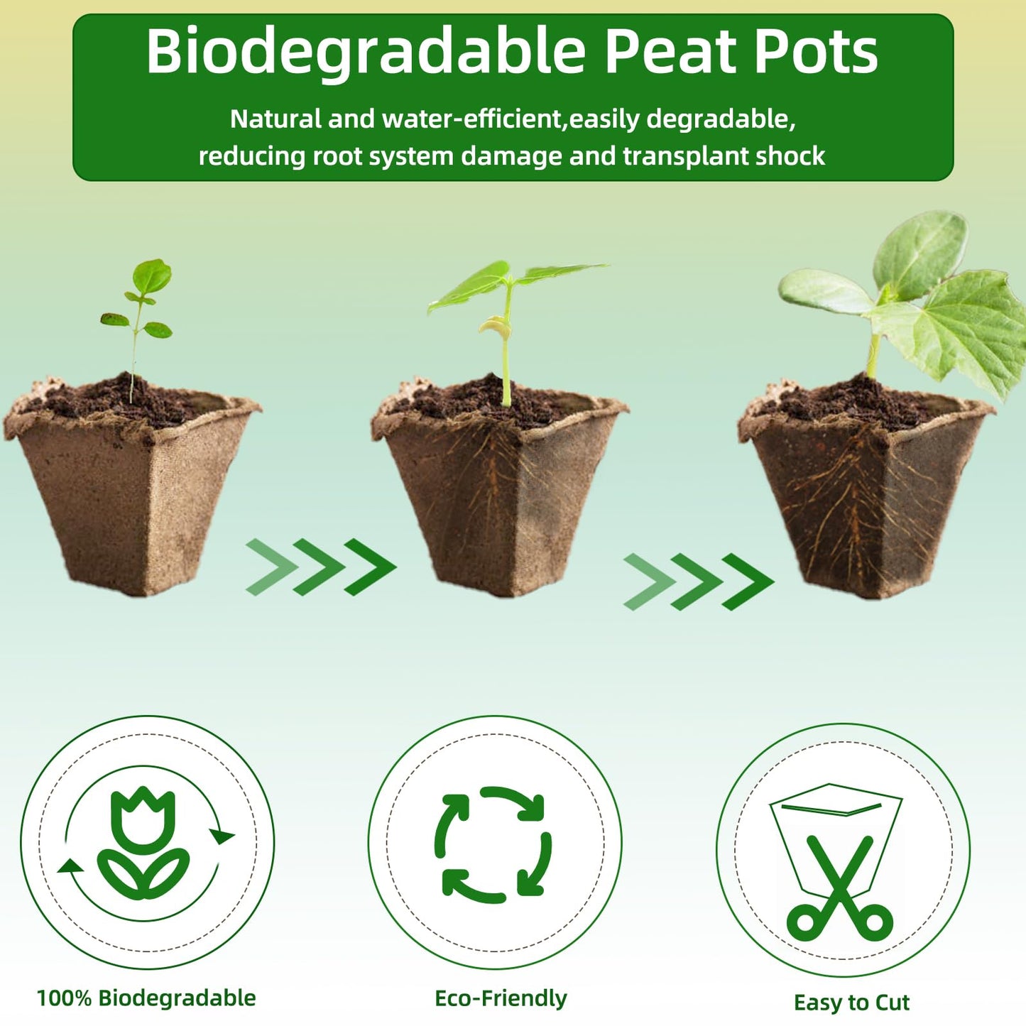 Hanmsen Seed Starter Tray,240 Cell Biodegradable Peat Pots Seed Starter Kit,Organic Germination Trays for Vegetable Flower Seedlings with 20 Plant Labels & 2 Garden Tools -20 Pack
