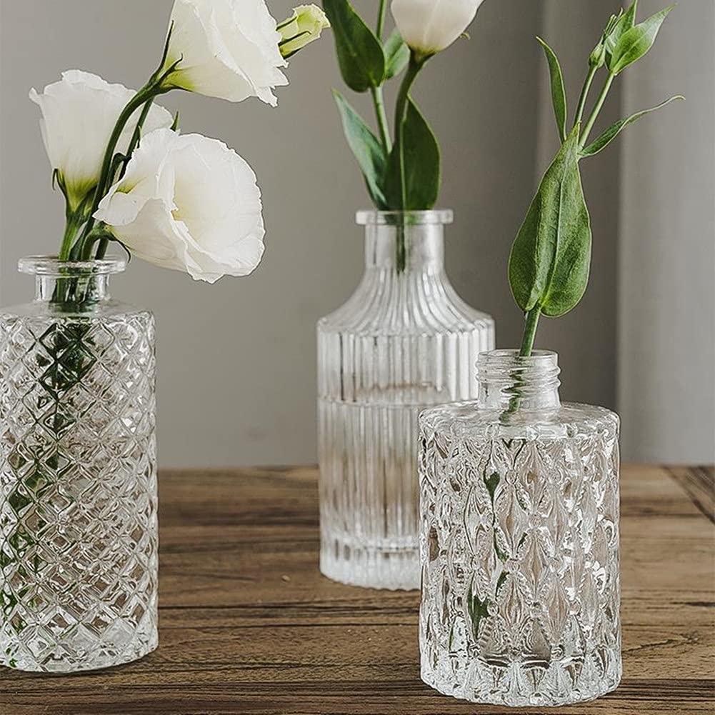 Mini Clear Glass Vase,Small Flower Bud Vase Hydroponics Planter Decorative for Flower,Table,Party,Home,Centerpieces(Clear 6)
