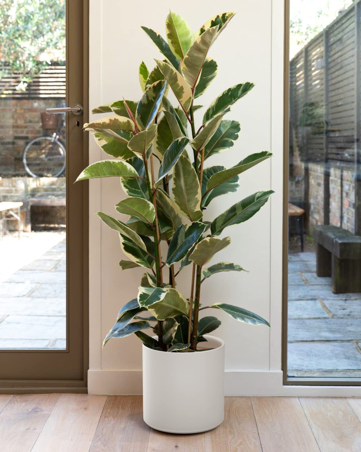 LE TAUCI 12 Inch Pot for Plants, Ceramic Planters for Indoor Plants, Mid-Century Modern Cylinder Flower Pots with Drainage Hole, Fits Fiddle Leaf Fig & Monstera, Home Decor, White