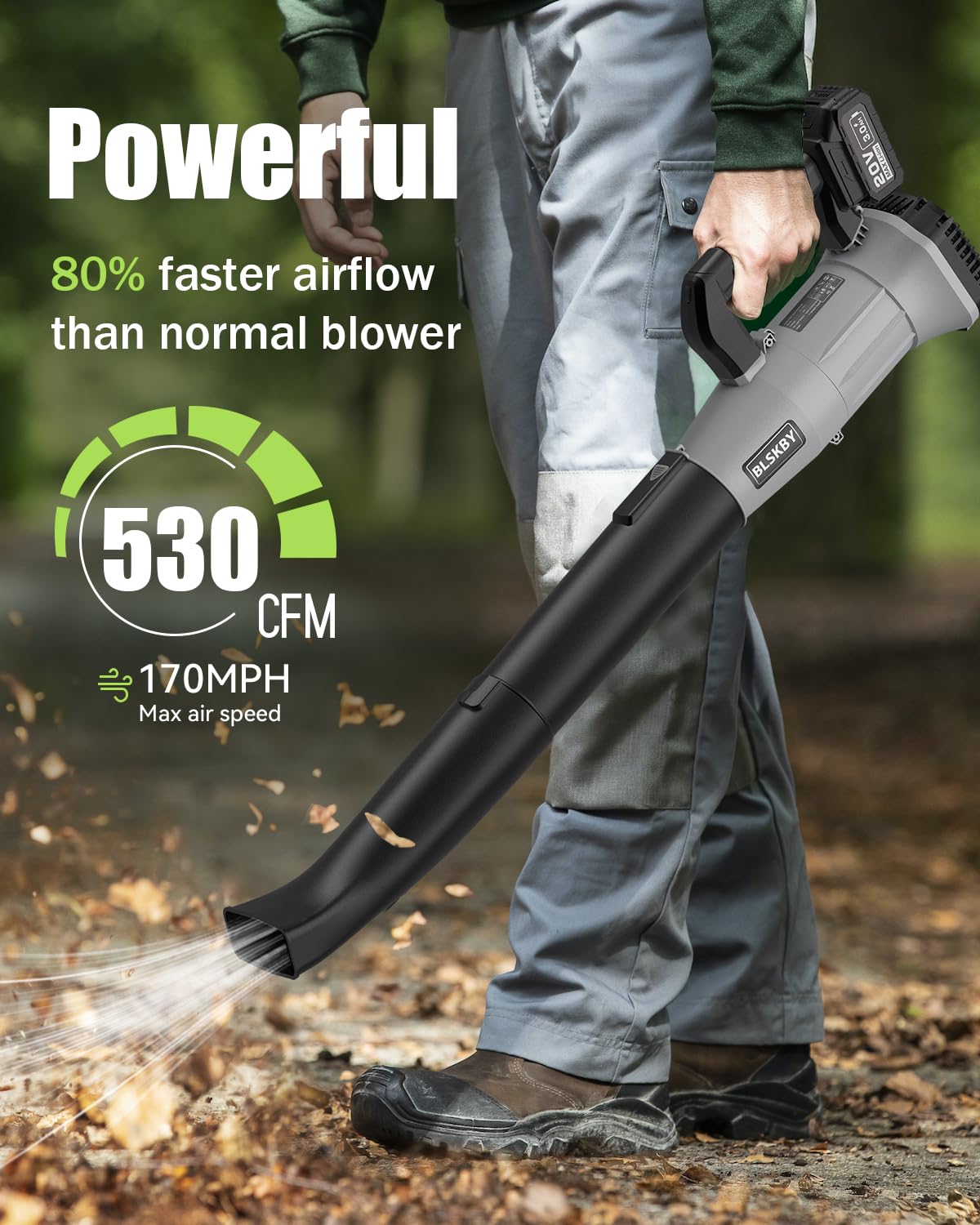 Cordless Leaf Blower - 2x3Ah Battery, 530CFM 170MPH, Powerful Battery Powered Leaf Blower Cordless with Battery and Charger, 7-Speed Control, 2 Extended Tubes for Yard, Lawn & Garden