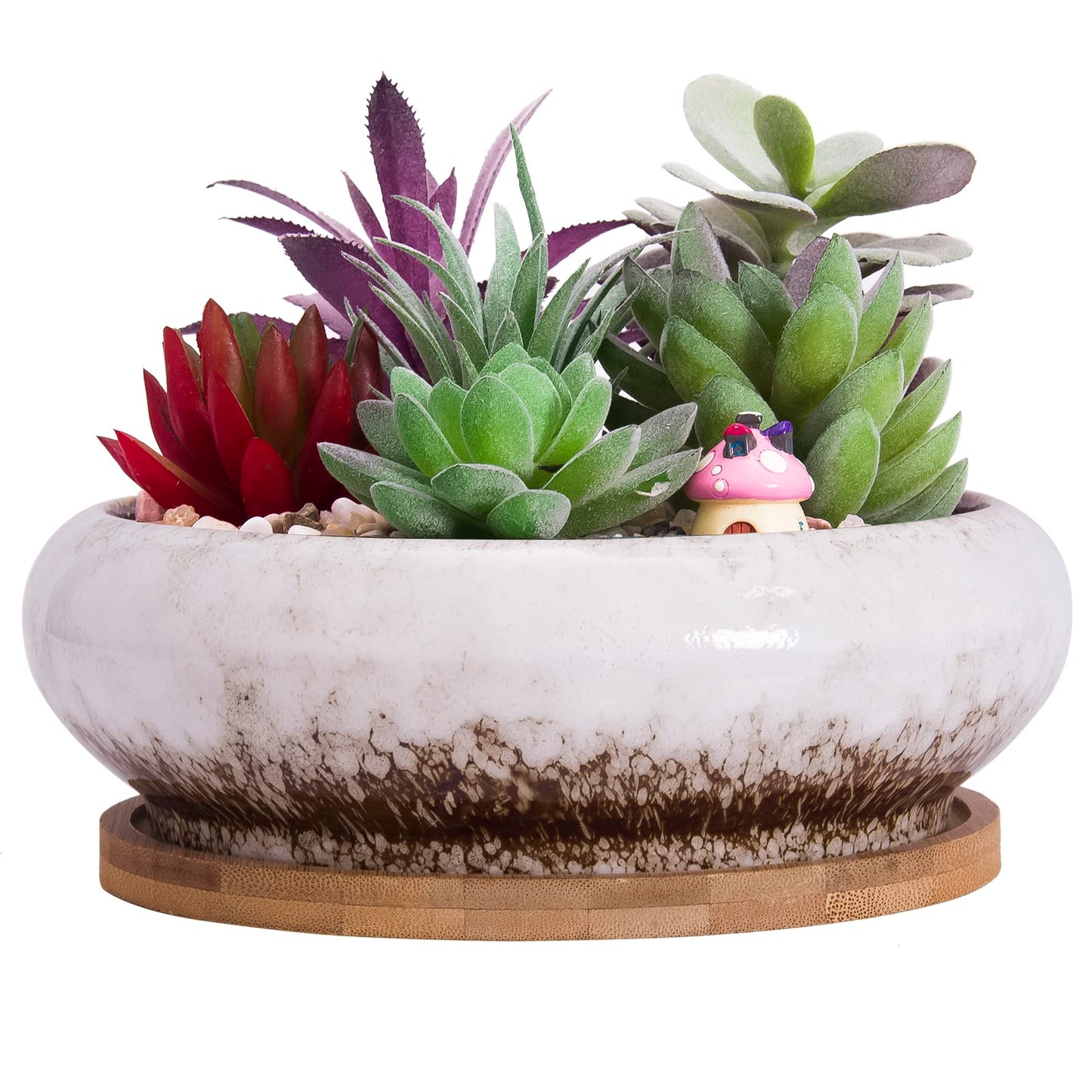 ARTKETTY Succulent Pots - 7.3 Inch Ceramic Bonsai Pot with Tray, Large Succulent Planters with Drainage, Shallow Planter for Indoor Cactus Plants Decorative Flower Plant Container Bowl