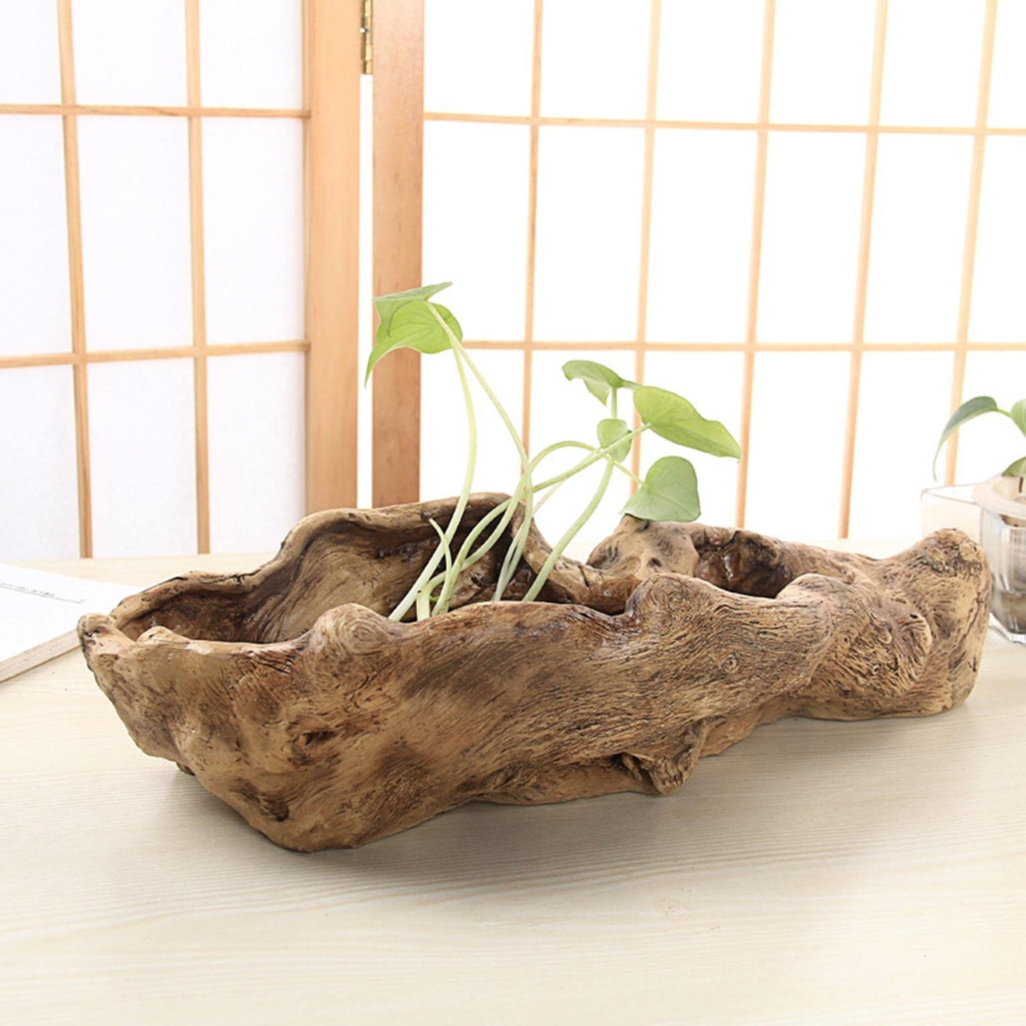 Holder in Driftwood for Indoor Decoration