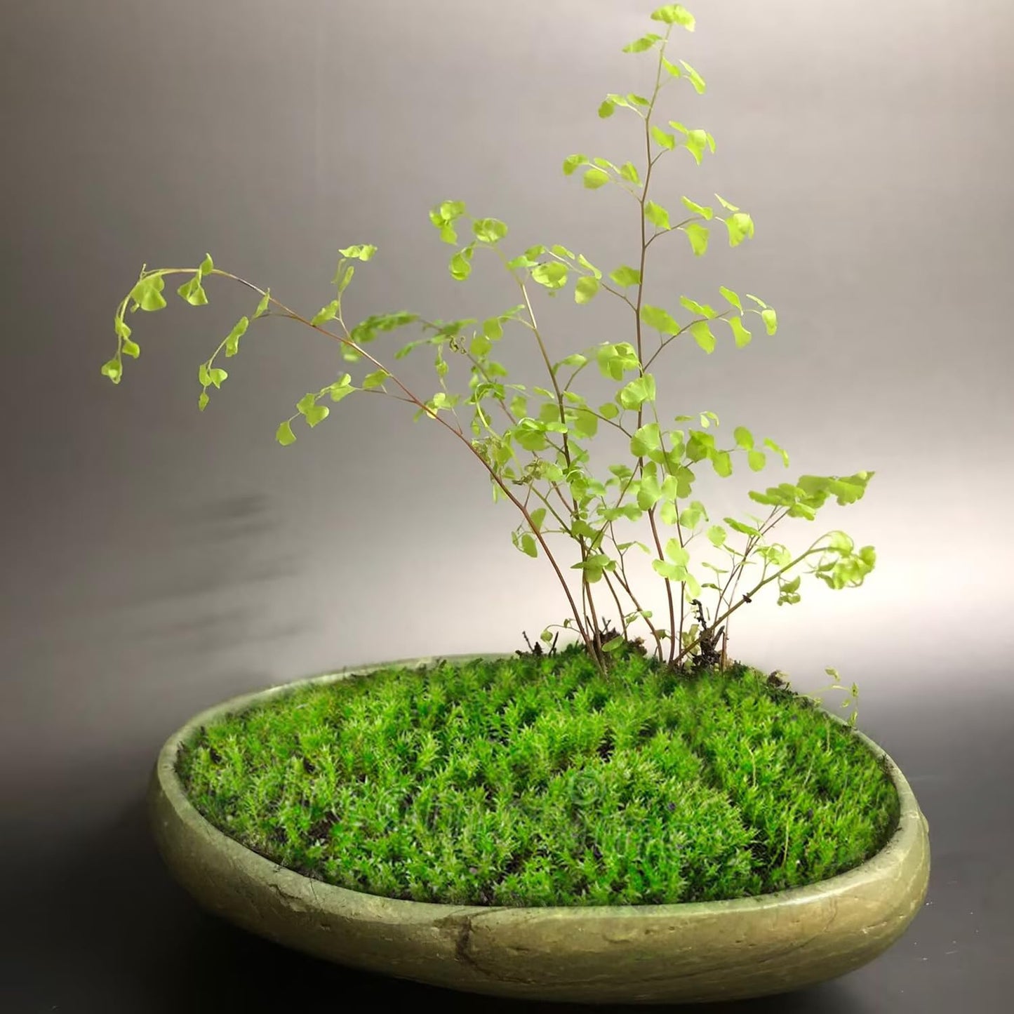 XIOFU Mini Handmade Pebble Flower Pot – Small Stone Planter for Succulents, Air Plants & Tiny Flowers – Natural River Stone Crafted – Unique Decorative Gift (Green)