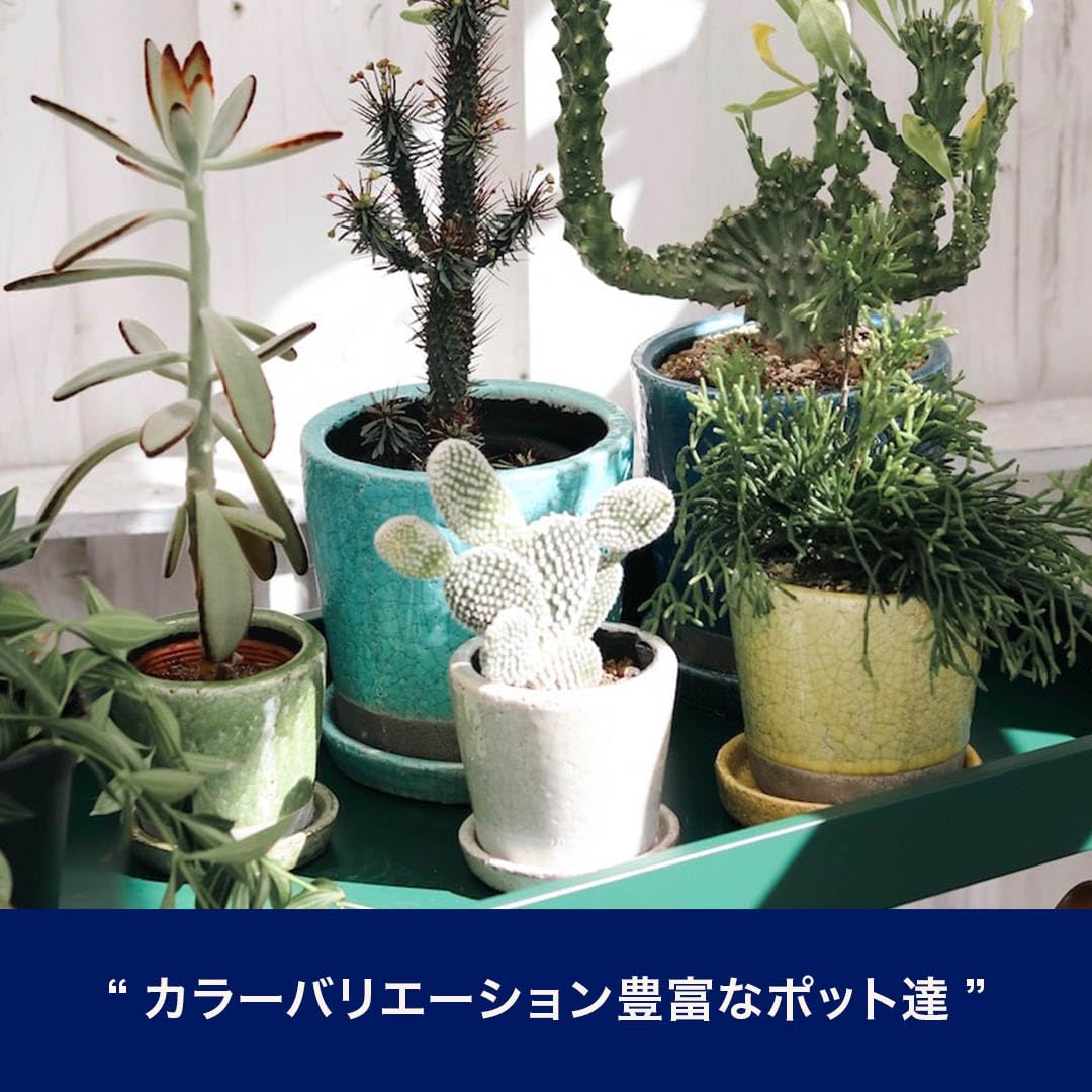 Dulton Flowerpot Planter No. 4 Light Purple with Saucer Hole Ceramic Pot Color Garden Supplies Height 4.3 inches (11 cm) Top: φ4.7 inches (12 cm) Bottom Diameter 3.7 inches (9.5 cm) CH13-G476LPL COLOR