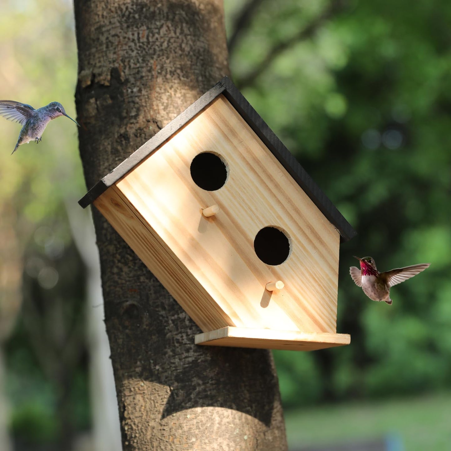 Bird House for Outside, Wooden Birdhouse for Outdoors Hanging - 2 Hole Wren House for Bluebirds Cardinals, Small Garden Bird House with Metal Hook