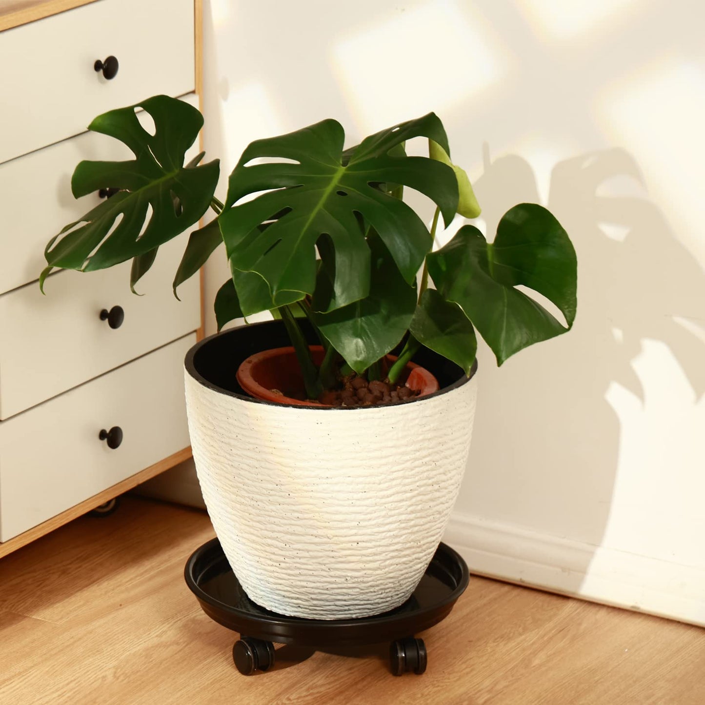 5 Packs Large Plant Caddy with PU Wheels 12" Rolling Plant Stands Heavy-duty Plastic Plant Roller Base Pot Movers Plant Saucers on Wheels Indoor Outdoor Plant Dolly with Casters Planter Tray Coaster