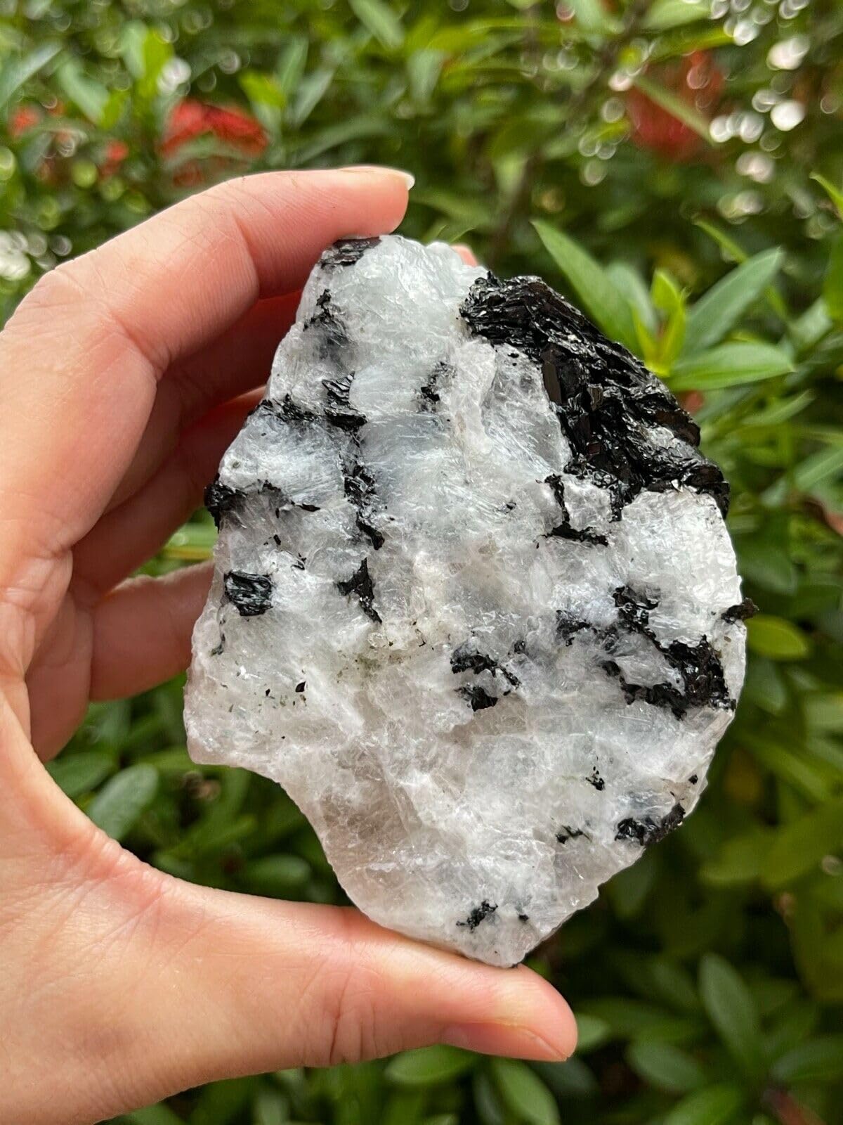 GAF TREASURES XL Raw Rainbow Moonstone, Rainbow Moonstone Rough, Rainbow Moonstone Healing Rough Crystal (Rainbow Moonstone, 0.5-1 lb)