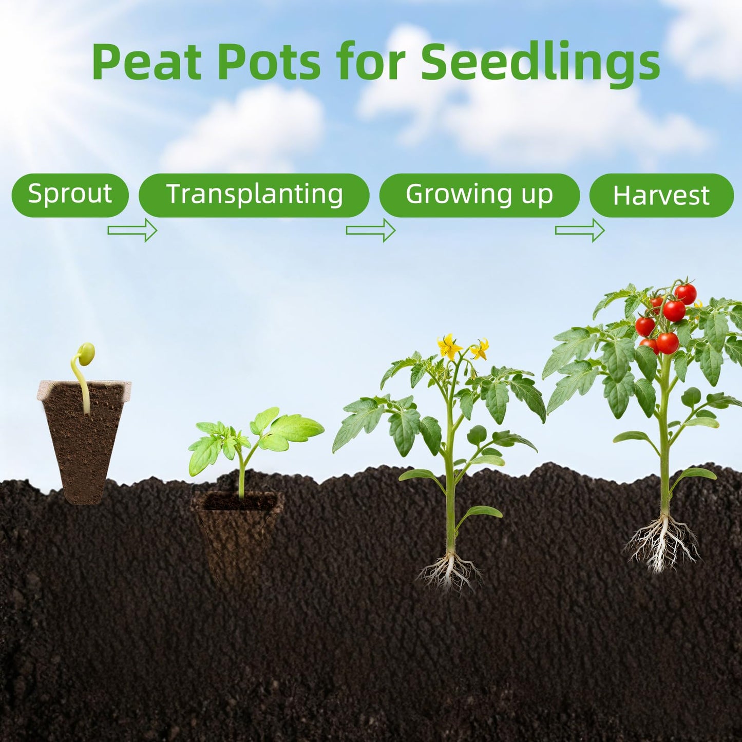 Hosetim Seed Starter Tray - 300 Cells Biodegradable Peat Pots for Seedlings, 25 Packs Garden Germination Seedling Starter Trays with Drain Holes, Organic Seed Starter Kit with Plant Labels(Khaki)
