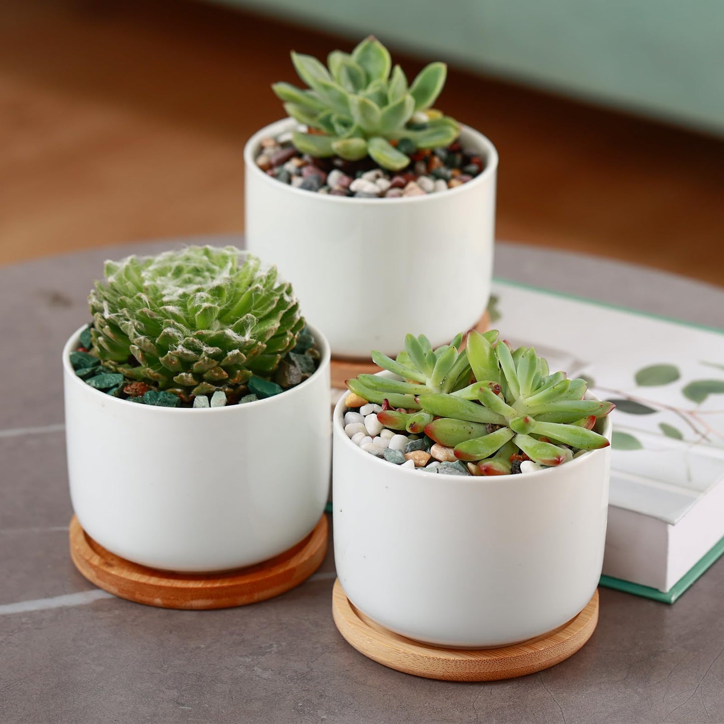 18 lbs Succulent and Cactus Bonsai Pebbles, 6-9mm Decorative Landscaping Polished Stones Natural Garden Gravel Rocks for Indoor Outdoor Plants Aquariums DIY, and Gardening Top Dressing, Jade Green