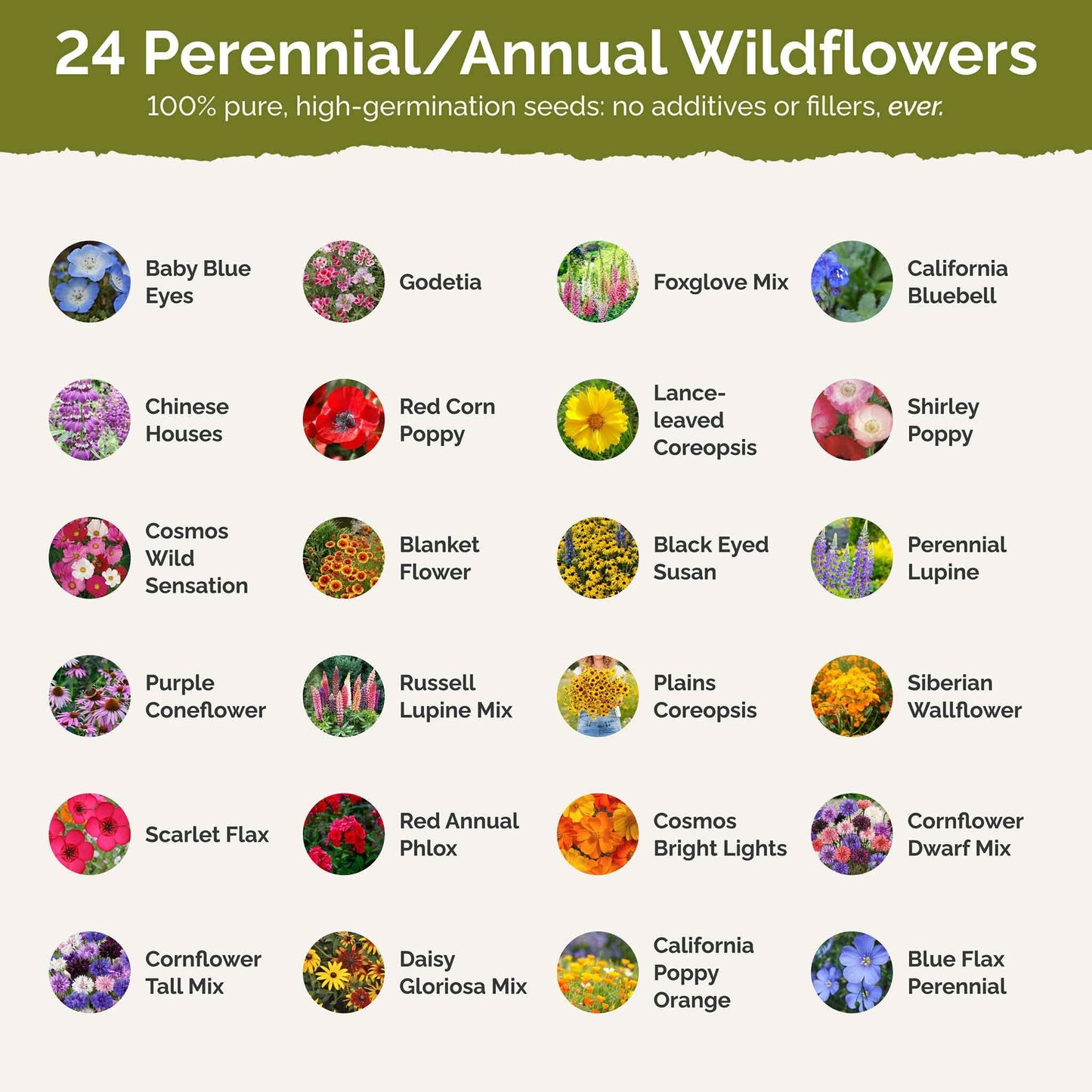 Eden Brothers Pacific Northwest Wildflower Mixed Seeds for Planting, 1/4 lb, 120,000+ Seeds with Cornflower, CA Bluebell | Attracts Pollinators, Plant in Spring or Fall, Zones 3, 4, 5, 6, 7, 8, 9, 10