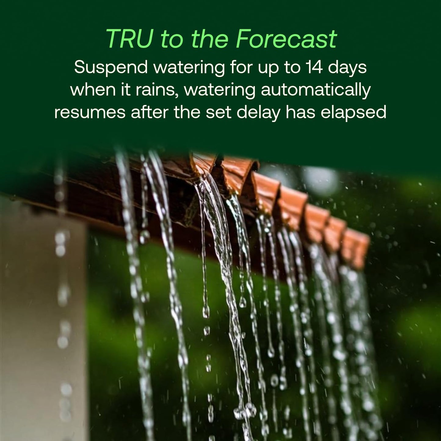 Rain Bird TRU6I Program-Based Indoor Irrigation Controller/Timer, WiFi Ready, 6-Zone/Station