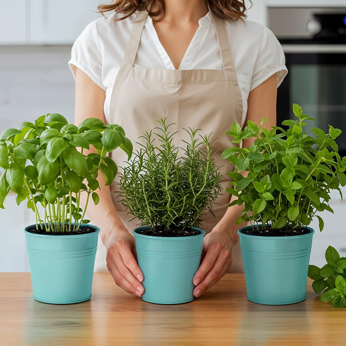 Plexon Herb Planter Indoor Garden Set of 3 with Tray, Metal Herb Pots for Indoor Plants, Round Kitchen Garden Kit Ideal for Windowsill Planter or Countertop, Aqua Mist Blue Powder Coated