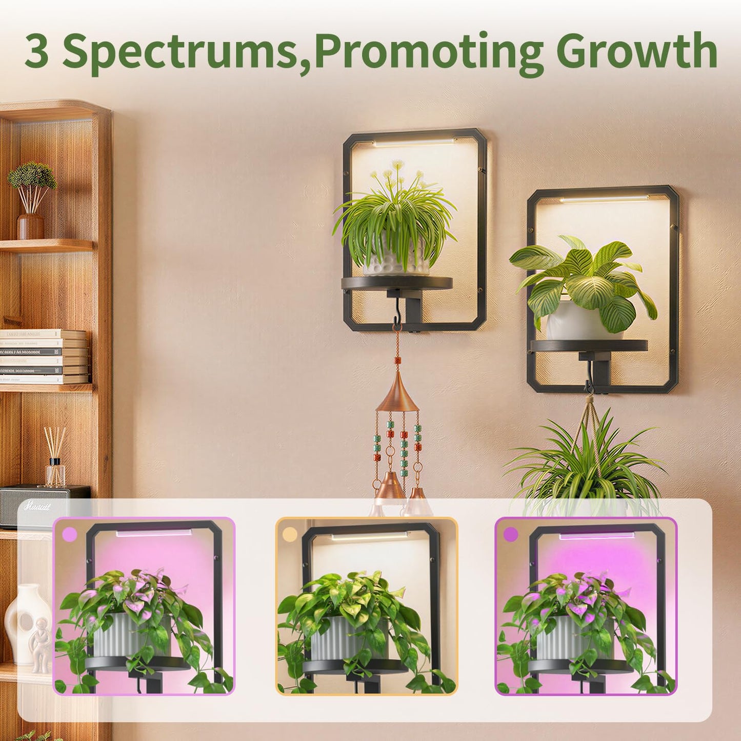 LASZOLA Plant Hangers Holder Wall Mount Indoor Window with 2 Grow Light, 2 Pack Floating Flower Stand Shelf with Hooks, Metal Picture Frame Hanging Planter Display Decor for Kitchen Bathroom, Black