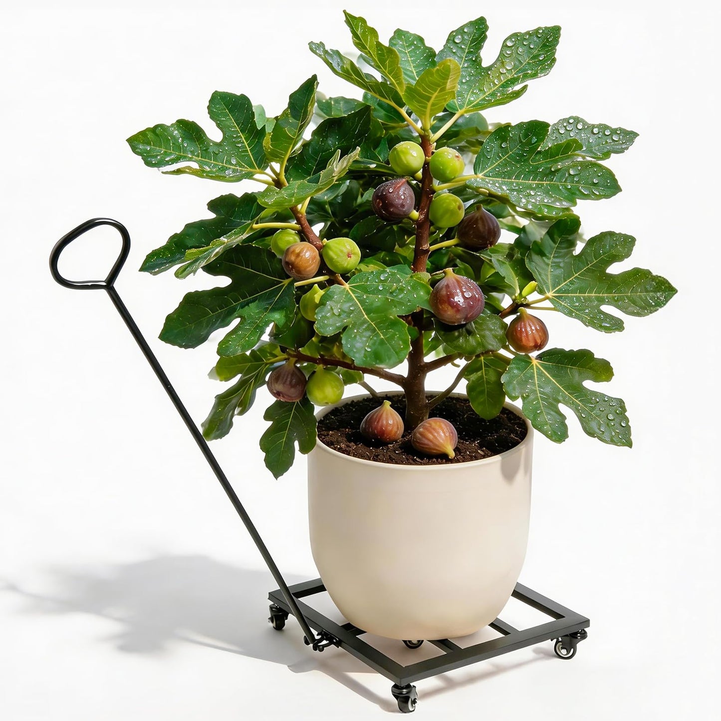 Goooxim Heavy Duty Plant Cart with Wheels - 16" Square Plant Stand with Locking Casters, 200lbs Capacity - Indoor Outdoor Metal Plant Rack on Rolling Dolly
