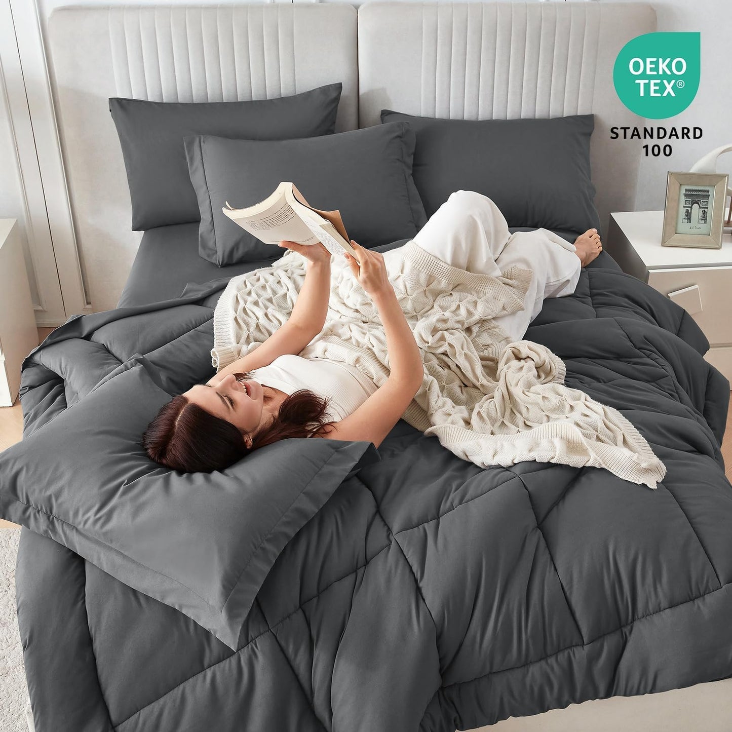 Sasttie Queen Comforter Set, 7 Pieces Bed in a Bag Queen, Complete Bedding Set Includes Grey Comforter, Flat Sheet, Fitted Sheet, Pillowcases and Pillow Shams, Dark Grey