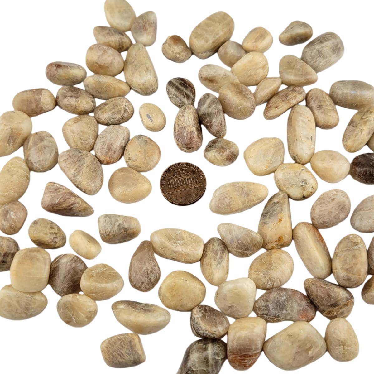 1,000 Carats Cream Moonstone Handpicked Tumbled Stones Crystals 0.4''-0.6'' Chips Bulk Pocket Stones for Healing, Reiki, Meditation, Witchcraft and Home Decorations (Cream Moonstone)