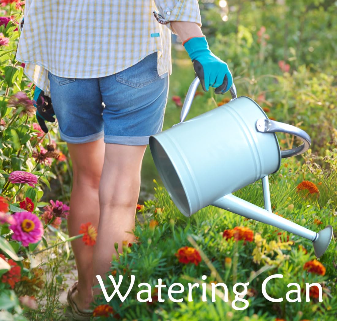 Metal Watering Can 1 Gallon with Removable Spout, Ideal Plant Watering Can for Indoor and Outdoor Plants (One Gallon Creamgreen)