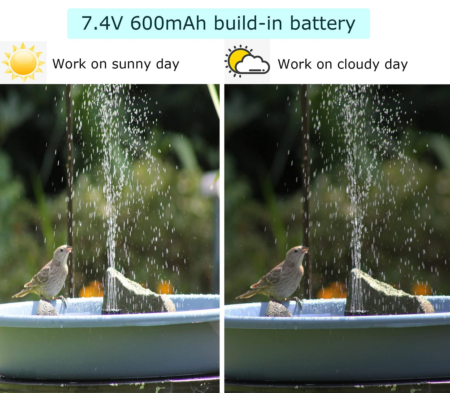 Lewisia 5W Solar Fountain Pump with Battery Backup LED Lighting for Patio Pool Koi Pond Bird Bath Garden Decoration Submersible Solar Powered Water Pump Kit