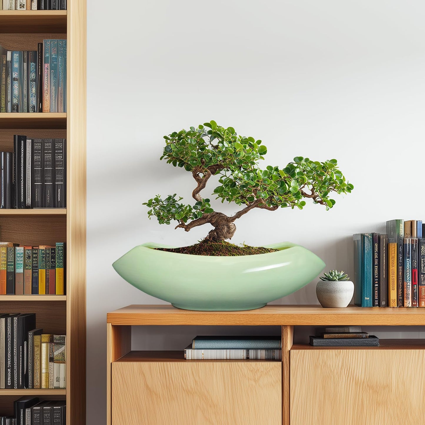 Teagas Ceramic Bonsai Pots - Large Succulent Planter 18 Inch Plant Pot Indoor Succulent Pot with Drainage Hole Outdoor Planter Bonsai Tree Pot for House Home Garden Decor Green