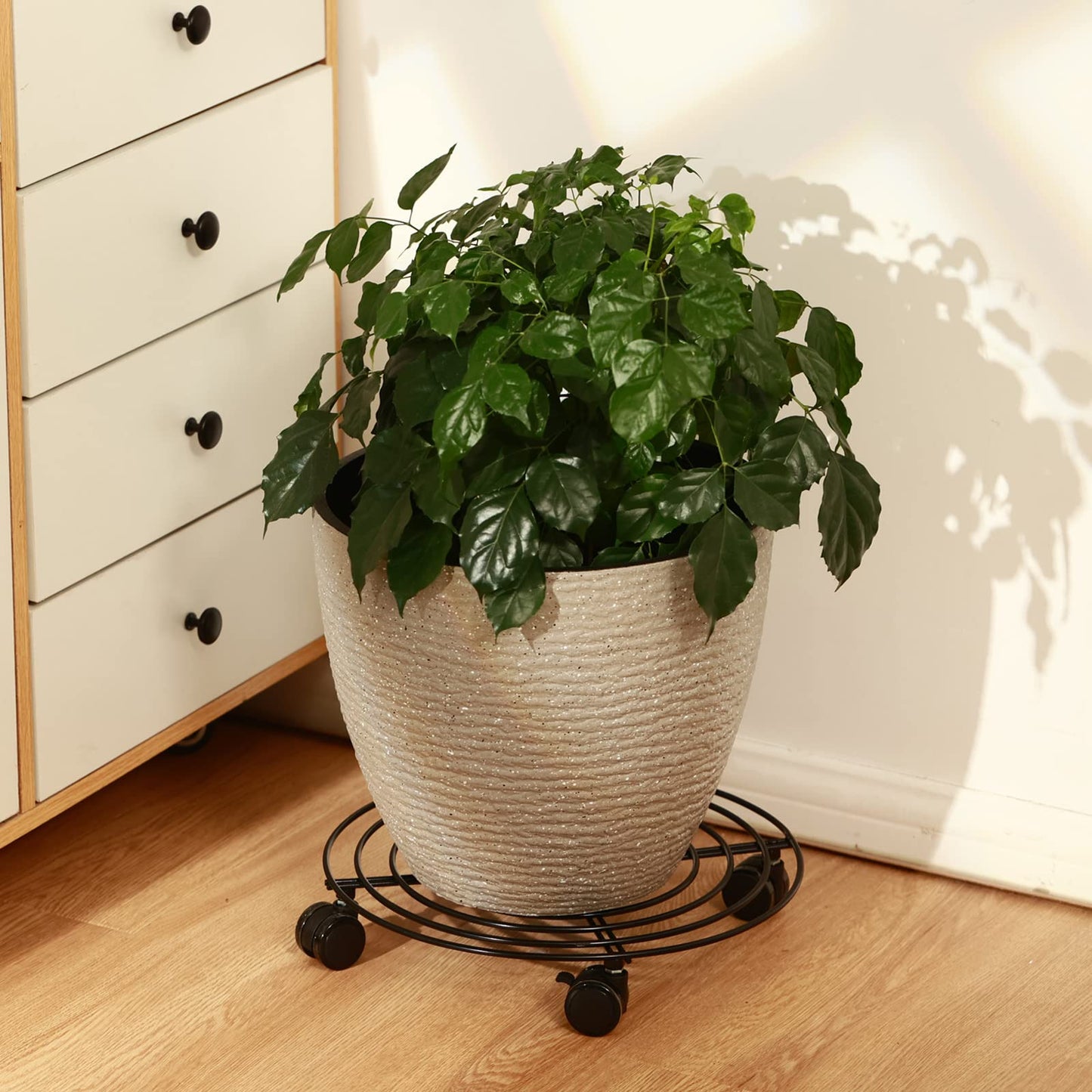 6 Packs 14 Inches Large Metal Plant Caddy with Wheels Rolling Plant Stands Heavy-duty Wrought Iron Plant Roller Base Pot Movers Plant Saucer on Wheels Indoor Outdoor Plant Dolly with Casters Planter Tray