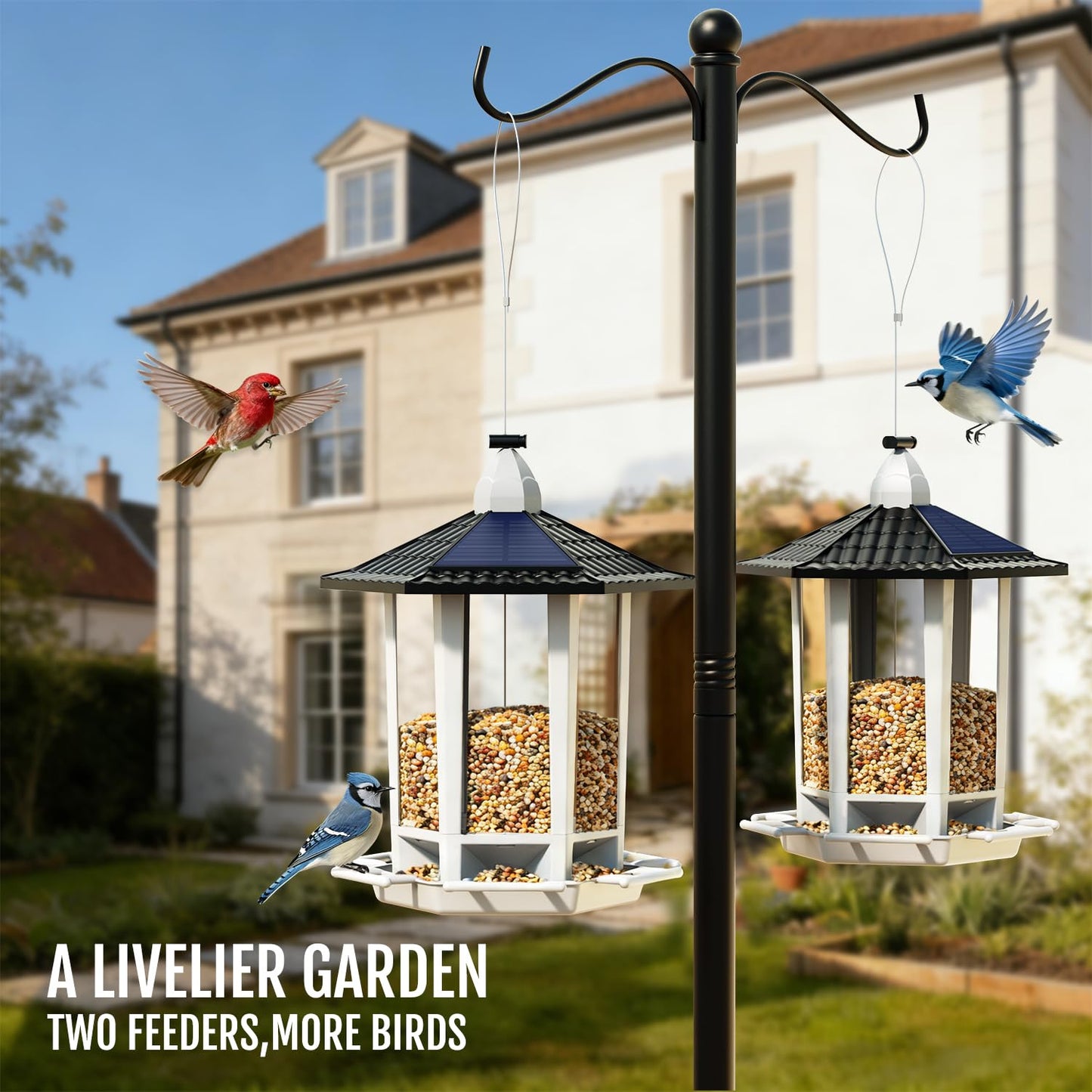 Birdream 2 Pack Solar Bird Feeders for Outdoors Hanging, Assembly Required, 1-Min Easy Setup, Wild Seed Feeders for Cardinals Chickadees and Finches