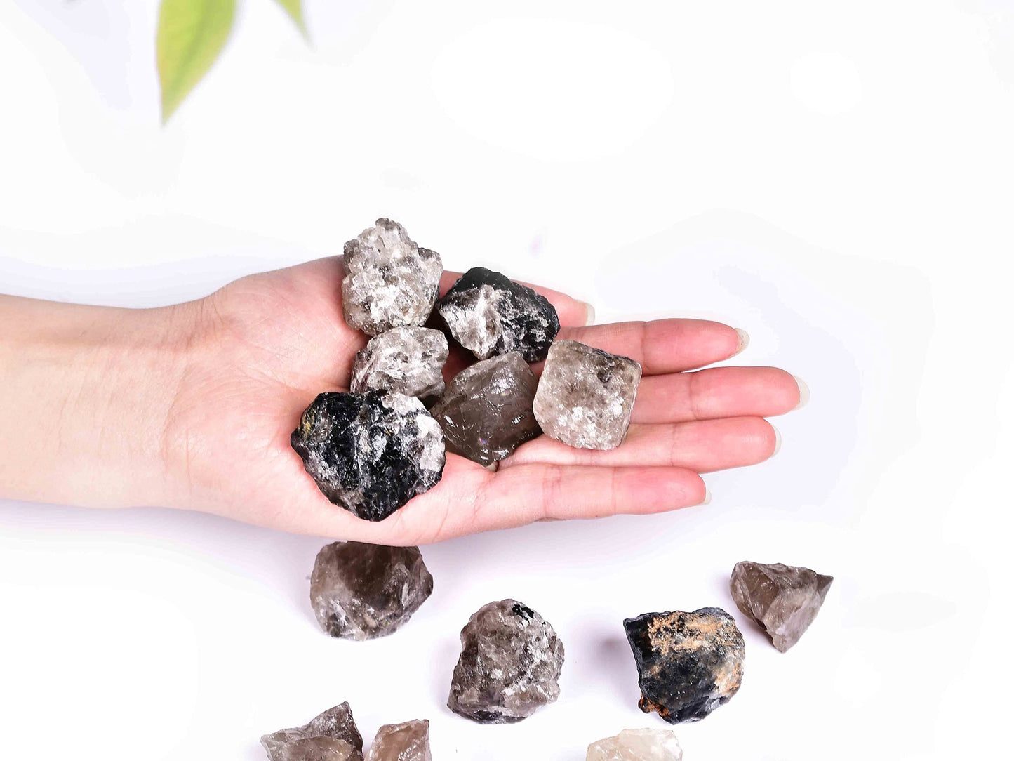 JIC Gem 12-16Pcs 0.7 Lbs irregular shape unpolished raw Madagascar natural Smoky Quartz Crystals and Healing Stones,0.32KG Gemstone Crystal Bulk rough Stones