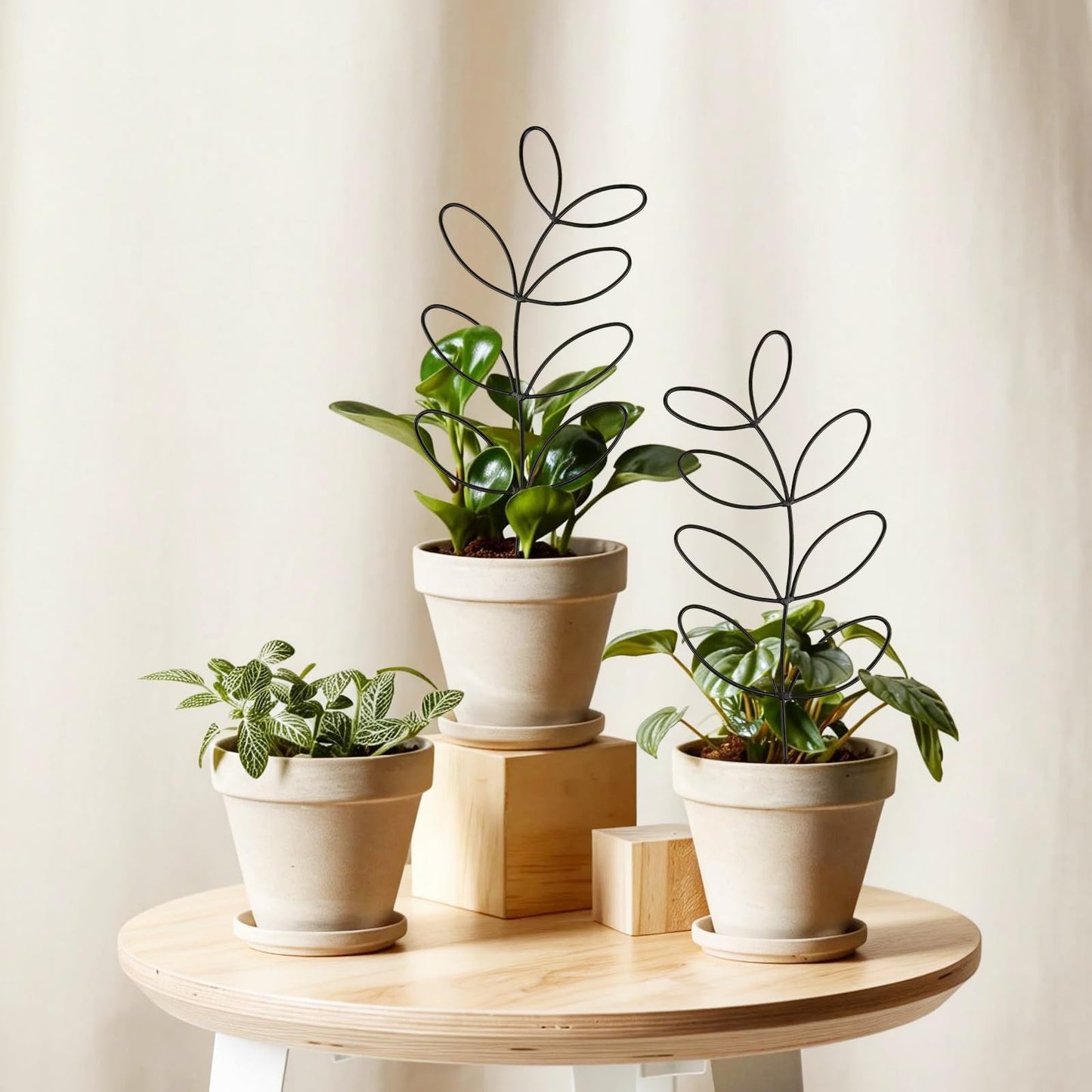 2 Pack 14.6 Inch Plant Trellis Indoor for Climbing Plants with 50 Plant Ties, Small Metal Garden Trellis for Potted Plants, Leaf Shaped Support for Ivy Hoya Pothos Monstera Houseplants