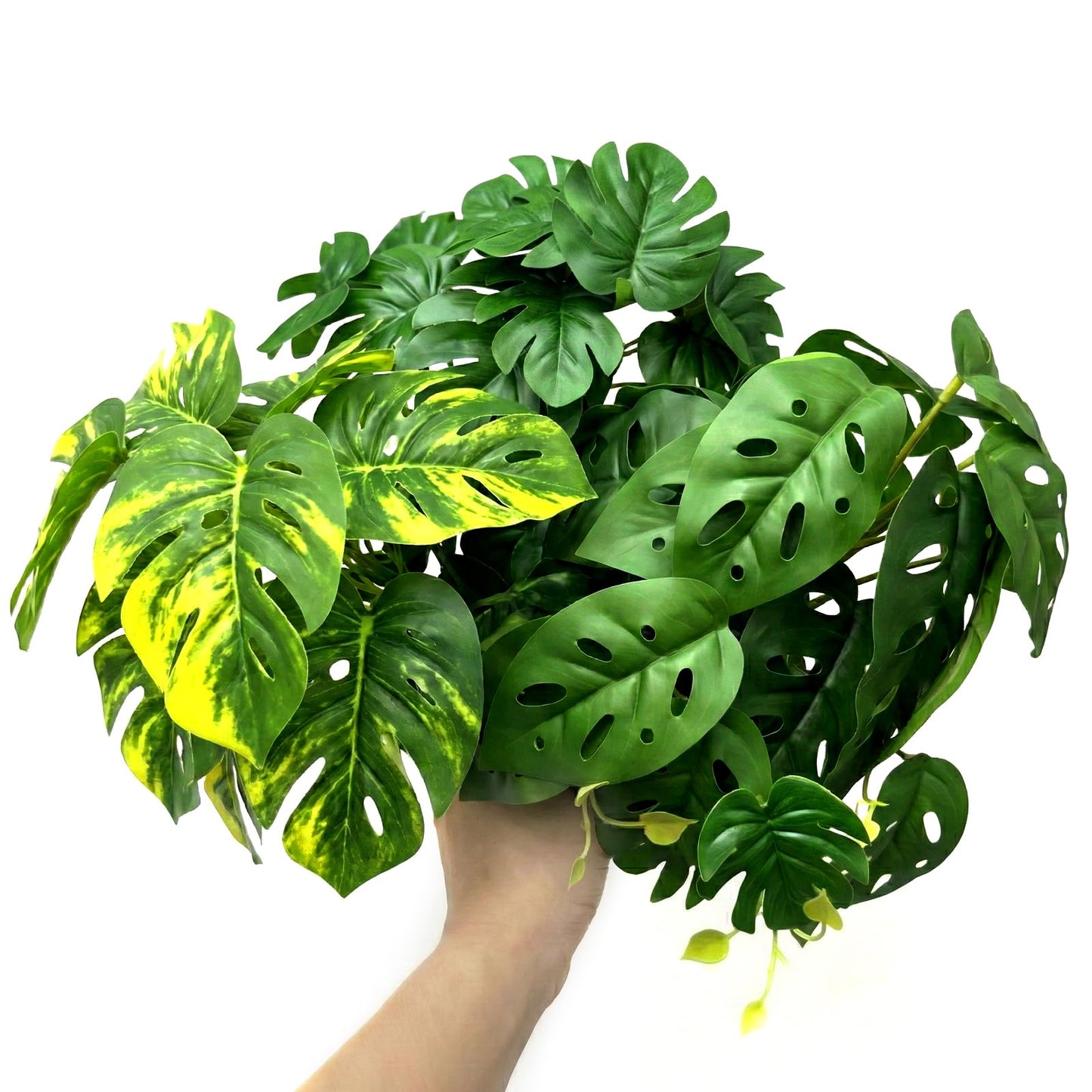 5 Pcs Reptile Plants & Habitat Decor Kit - 3 Artificial Plants & Large 5ft Jungle Vine Branch, Amphibian Habitat Hideout Tank Decorations fit Crested Gecko Leopard Lizard Chameleon Ball Python Frog